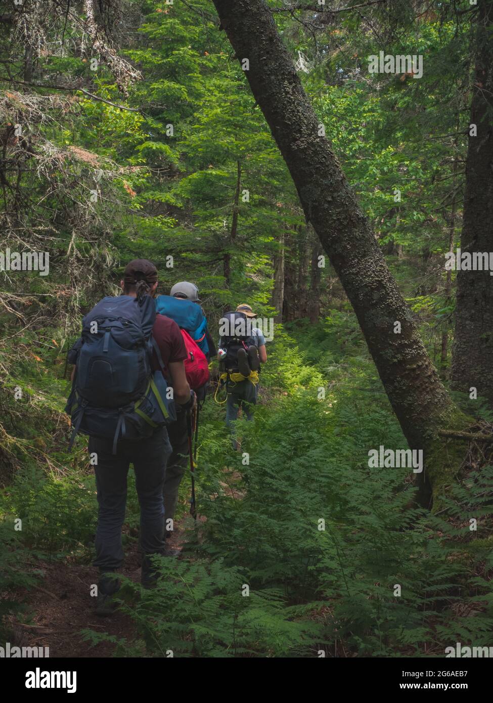 Quatre routards qui ont fait la randonnée dans les montagnes noires et blanches à Lanaudière, Québec, Canada. Banque D'Images
