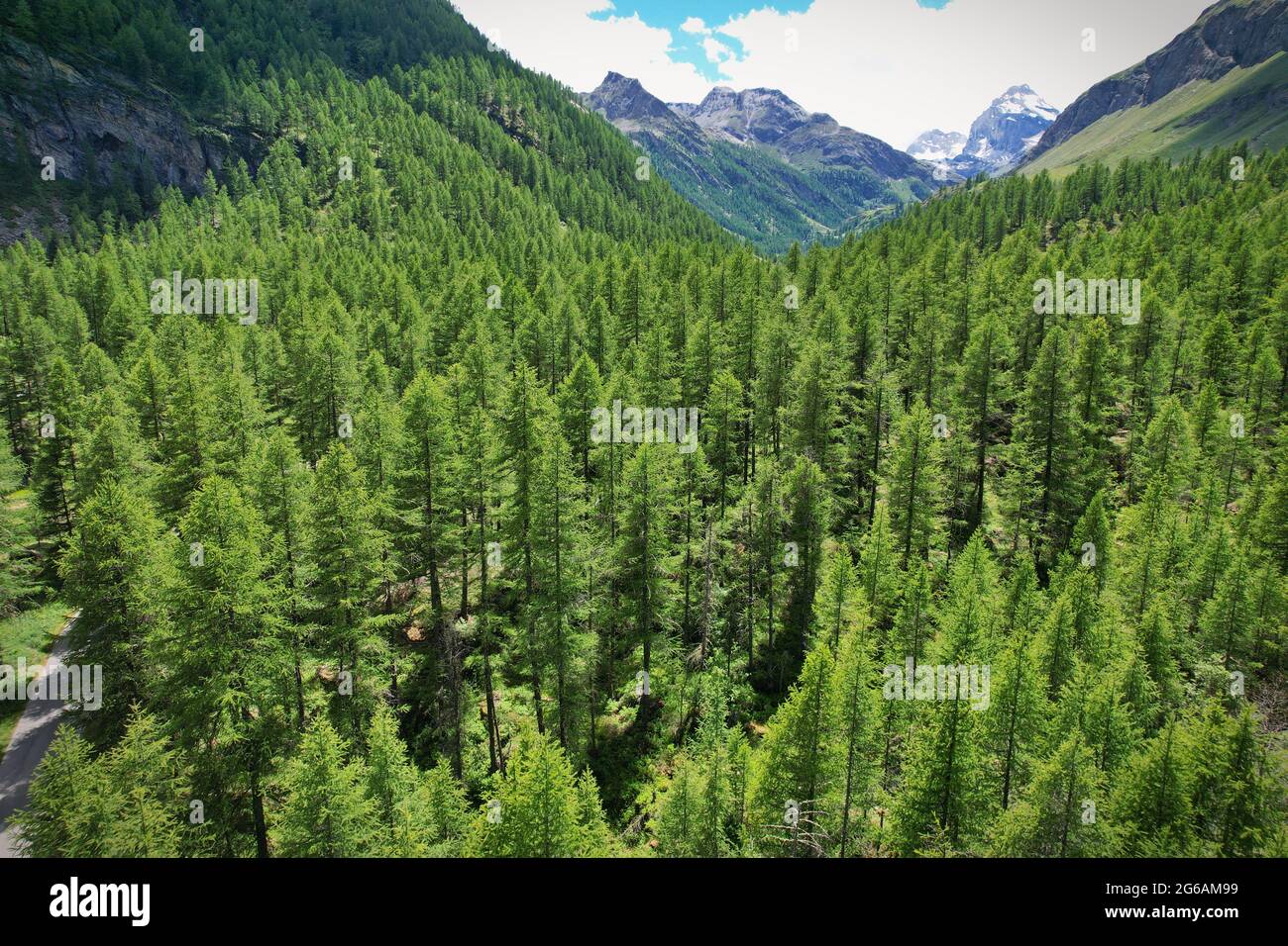 Vue depuis le sommet de la vallée de Rhèmes notre Dame dans la vallée d'Aoste, en Italie. Banque D'Images
