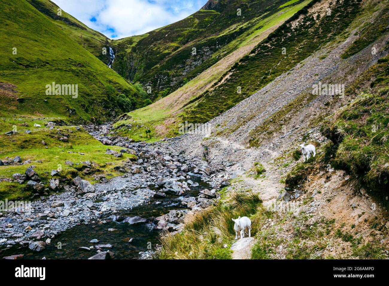 Vue aérienne de la queue de Grey Mare, une cascade près de Moffat, en Écosse Banque D'Images