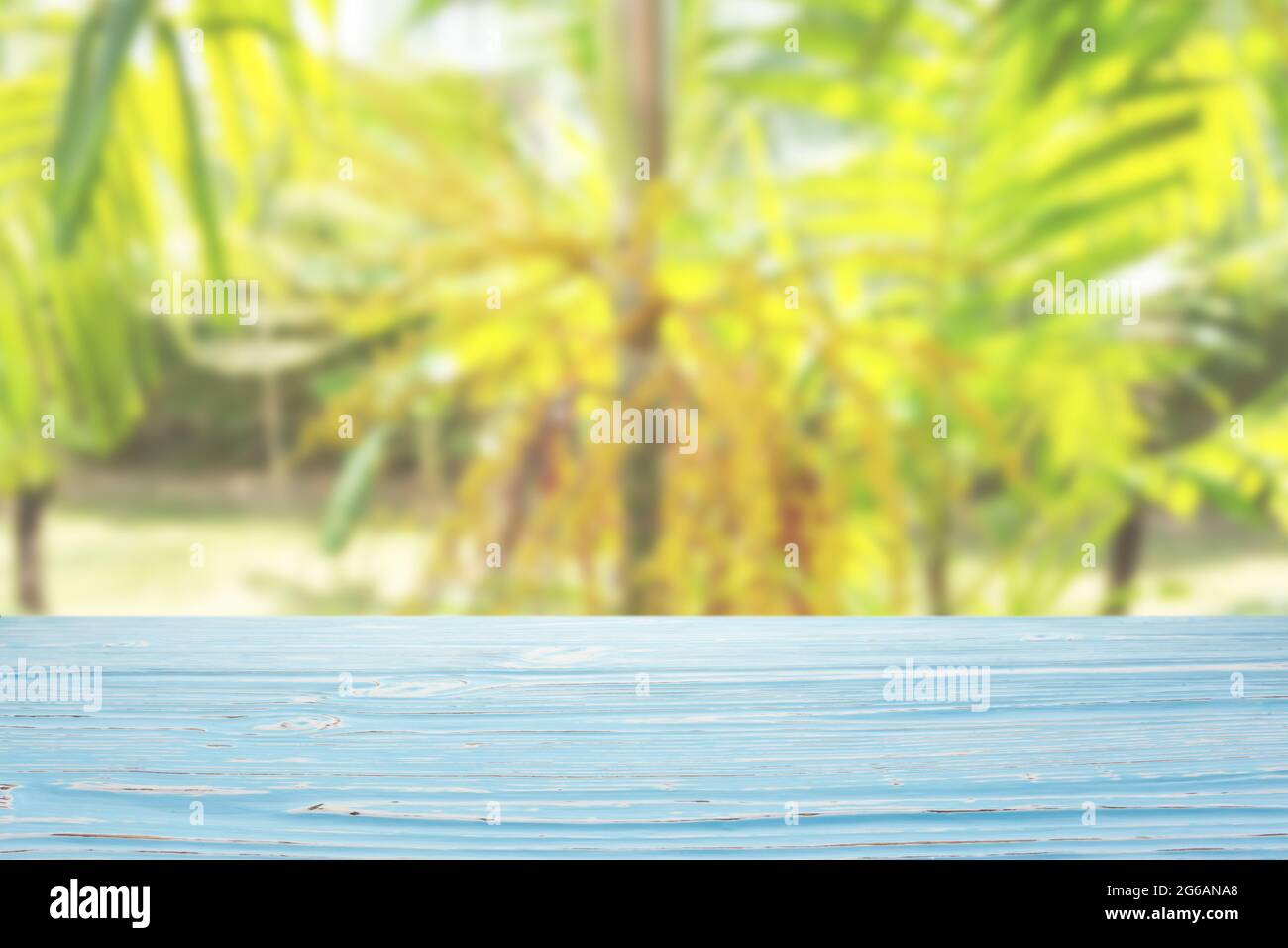 plateau de table en bois bleu sur fond de plantes tropicales floues Banque D'Images