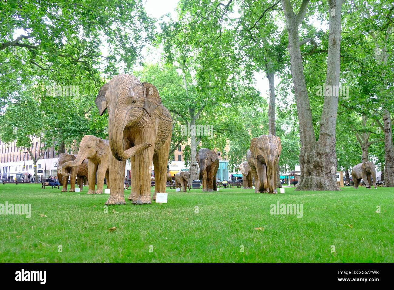 Un troupeau d'éléphants est exposé dans les environs verts de la place Berkerley dans le cadre d'une campagne environnementale visant à mettre en évidence l'extinction des animaux. Banque D'Images