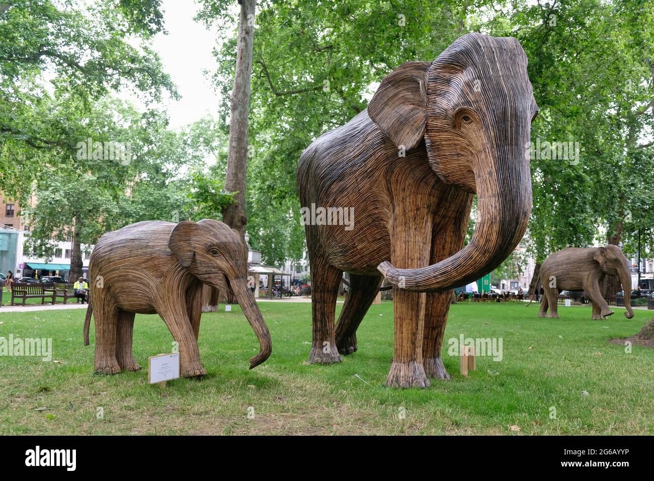 Un troupeau d'éléphants est exposé dans les environs verts de la place Berkerley dans le cadre d'une campagne environnementale visant à mettre en évidence l'extinction des animaux. Banque D'Images