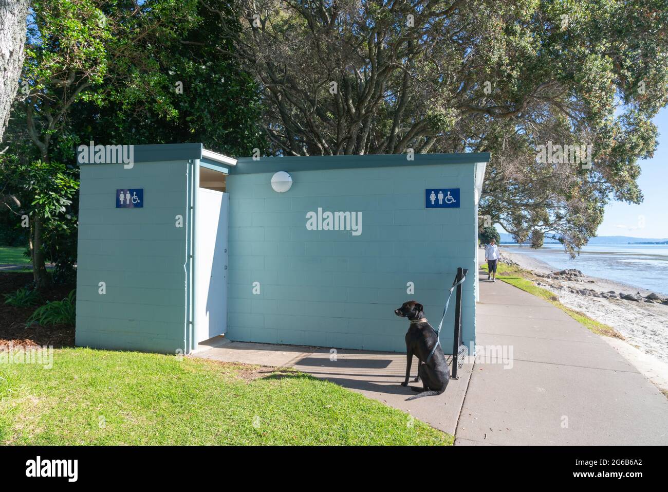 Le chien noir attend lié à l'affichage à l'extérieur du bloc de toilettes publiques à côté de la plage à Tauranga en Nouvelle-Zélande. Banque D'Images