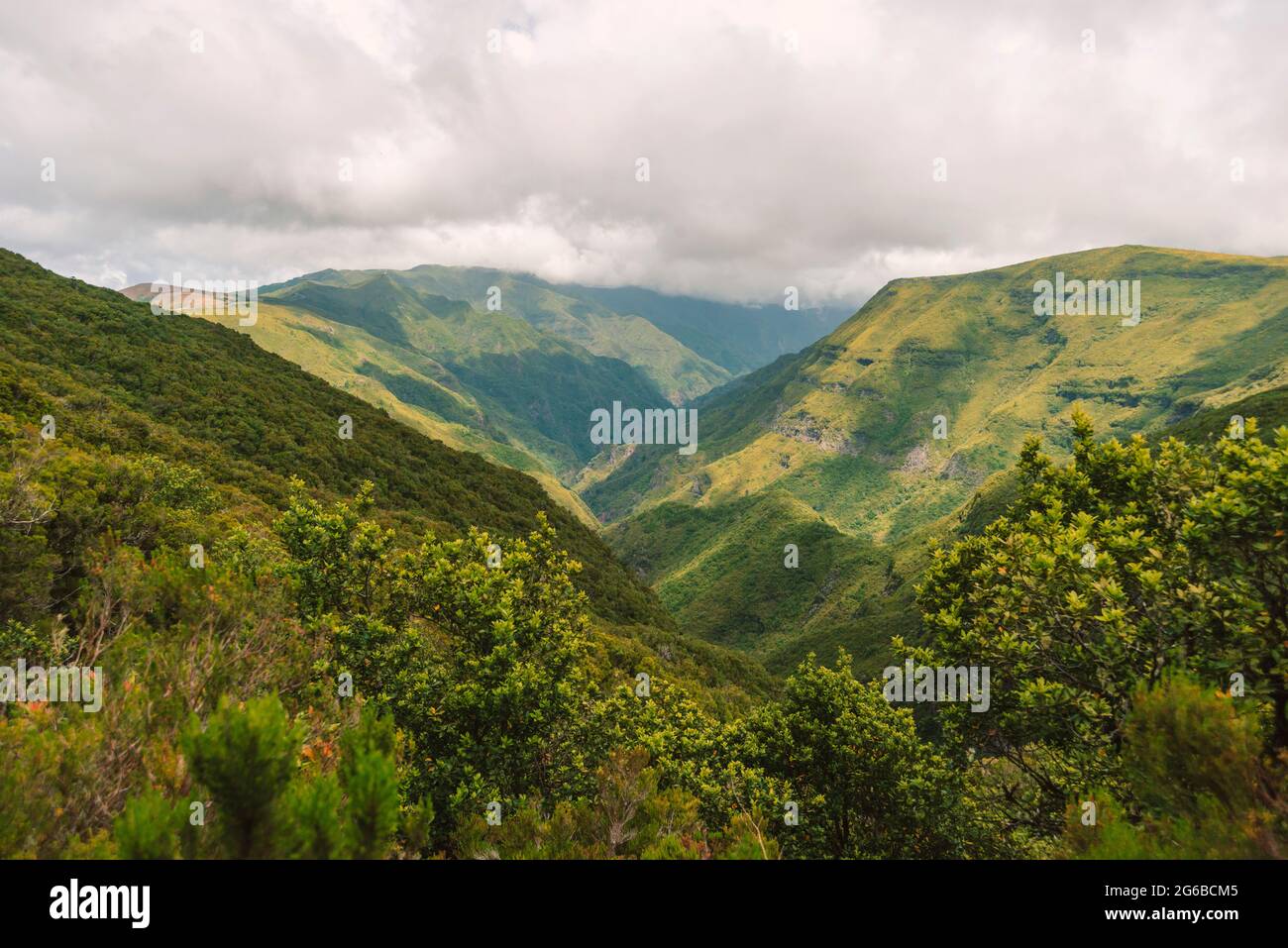 Paysage de forêt de montagne verte de l'île de Madère par jour nuageux Banque D'Images