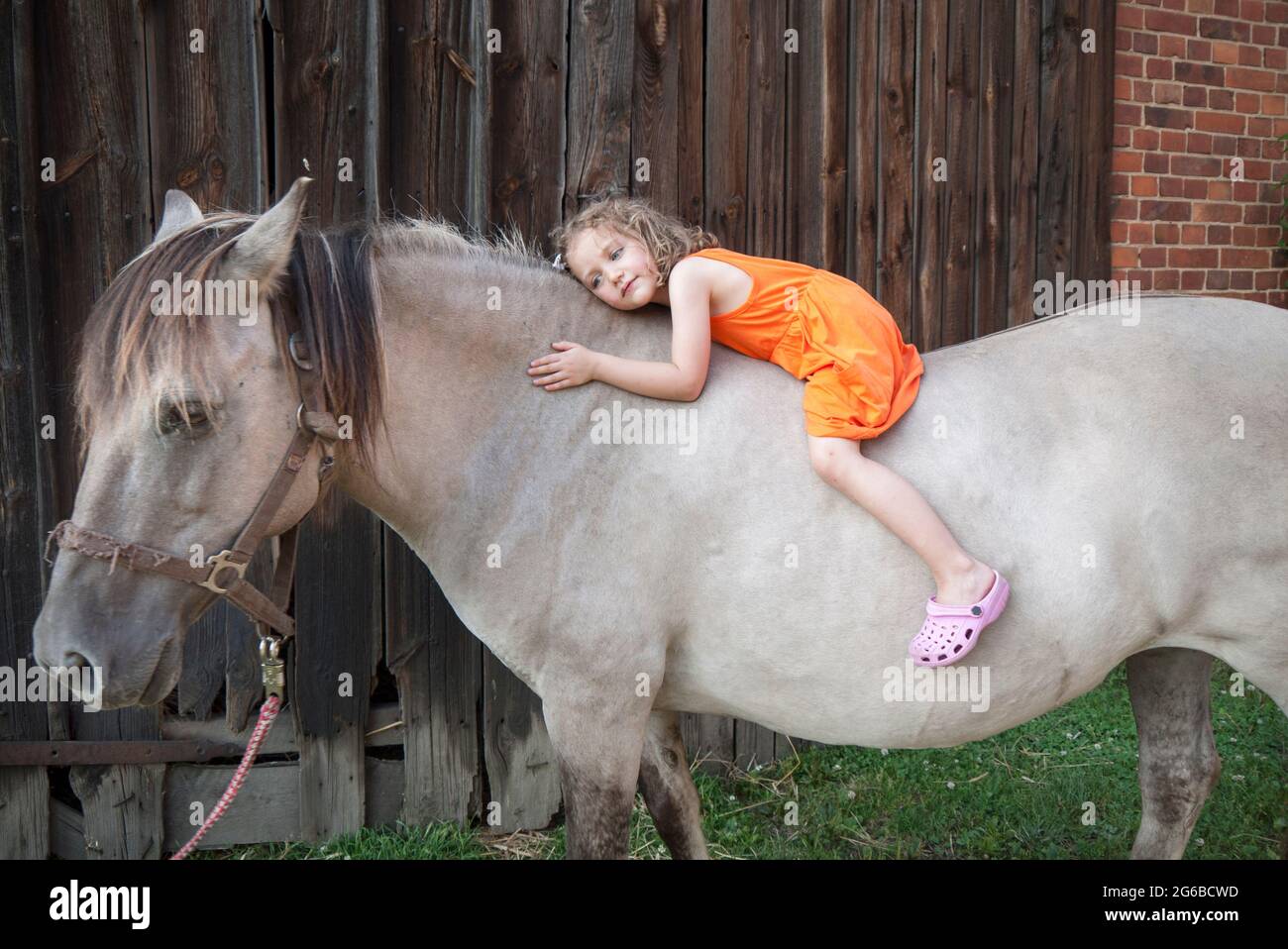 Fille souriante couché sur un cheval, Pologne Banque D'Images