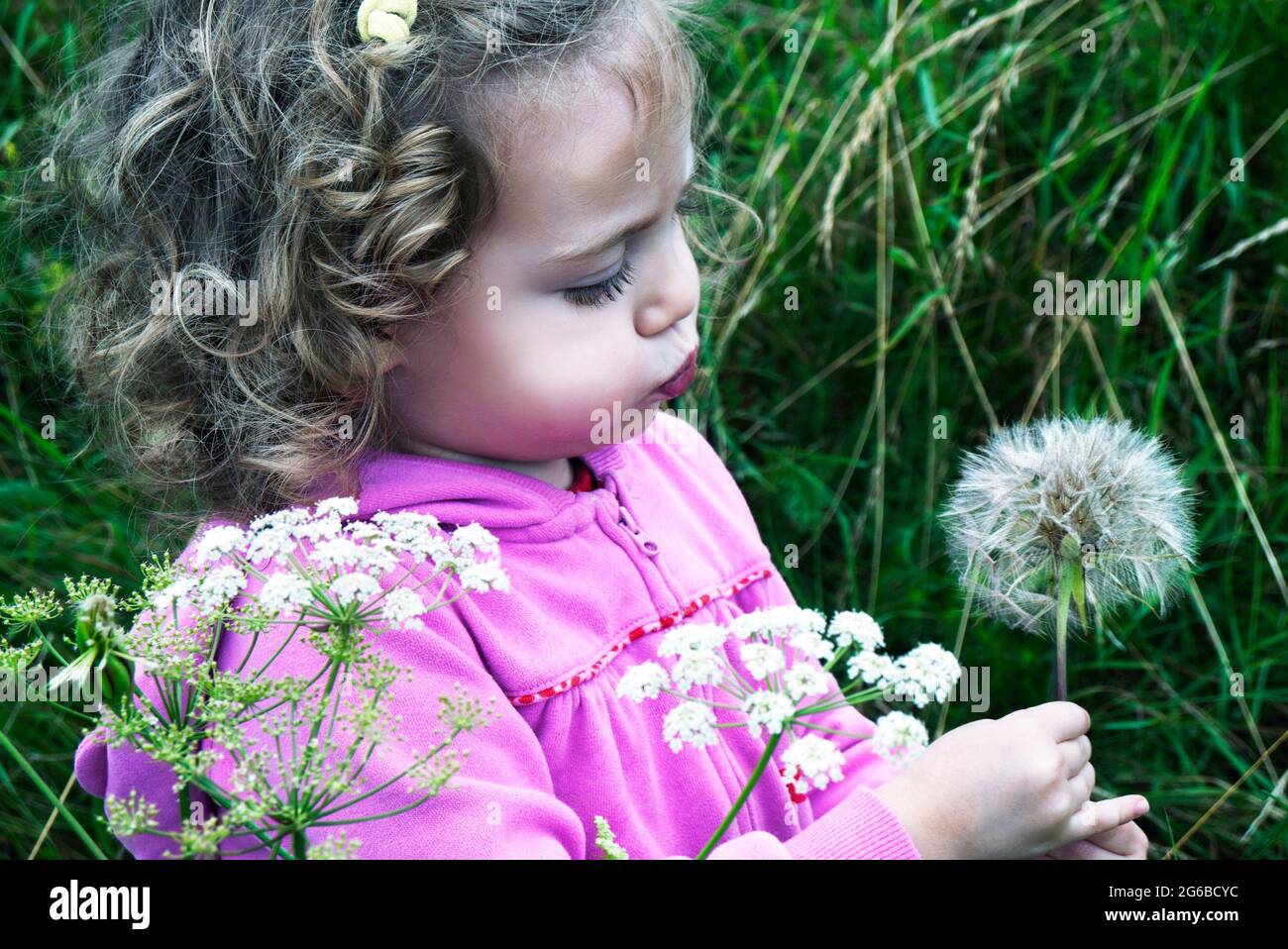 Fille debout dans un pré soufflant une horloge pissenlit, Pologne Banque D'Images