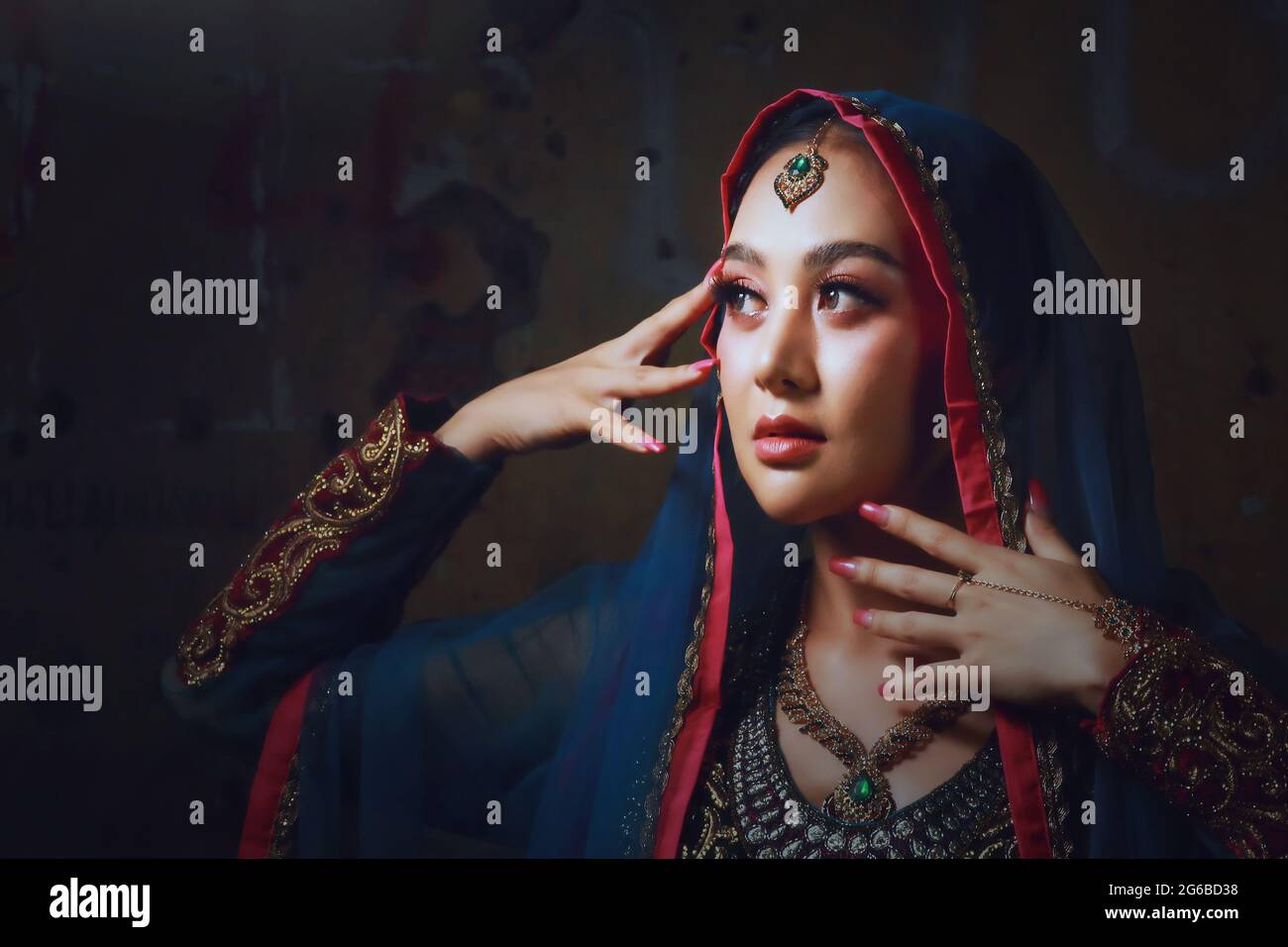 Portrait d'une femme portant un sari, Agra, Uttar Pradesh, Inde Banque D'Images