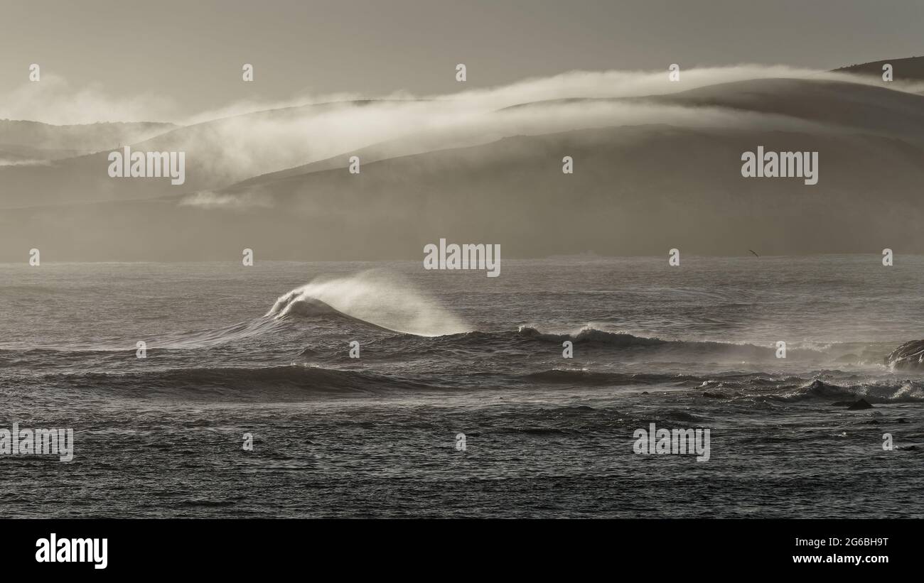 Des nuages rétroéclairés et des vagues se brisent à l'aube à Curio Bay, les Catlins, île du sud, Nouvelle-Zélande. Banque D'Images