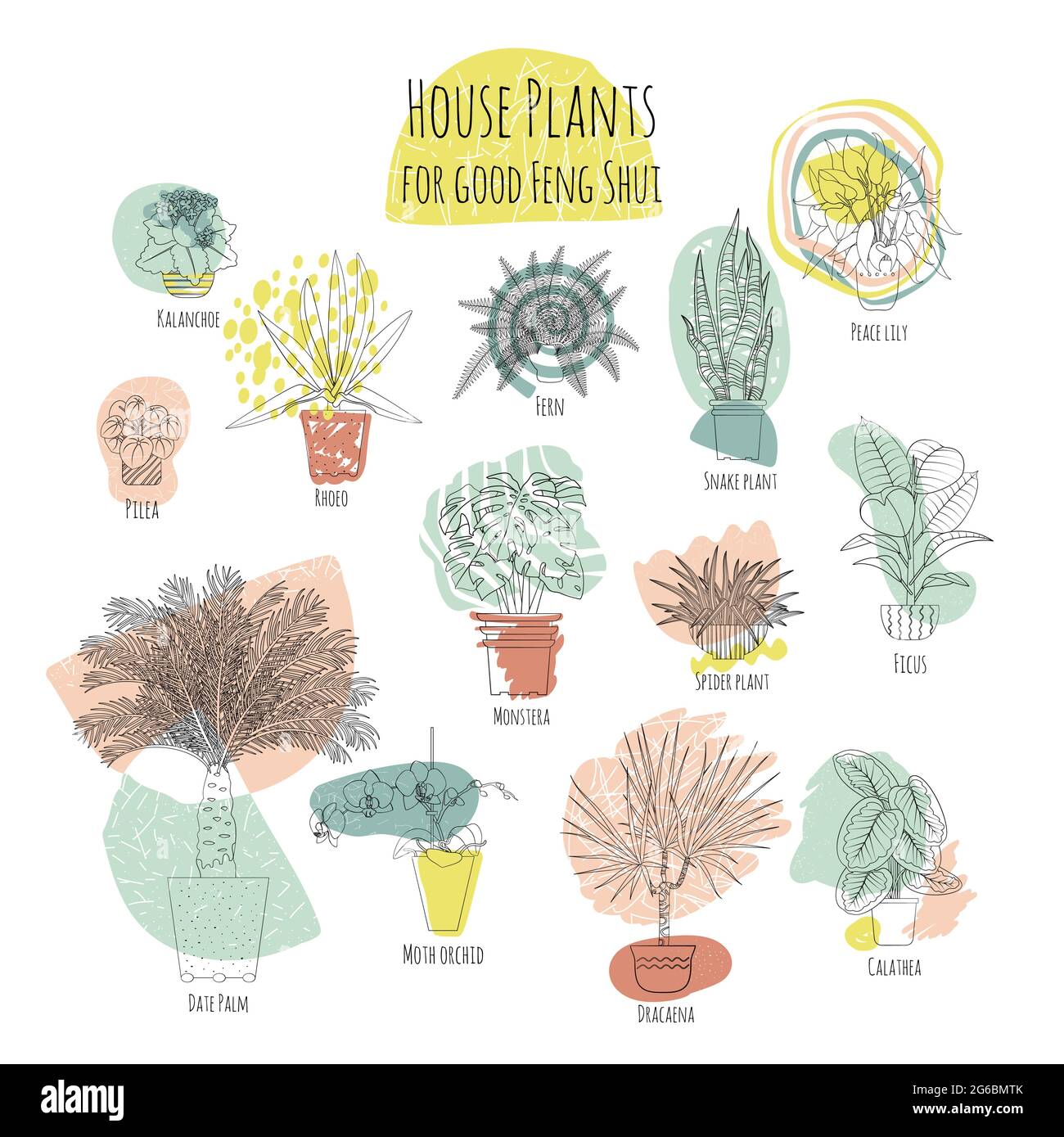 Ensemble coloré de différentes plantes de maison en pot pour bon feng shui. Formes abstraites en arrière-plan Illustration de Vecteur