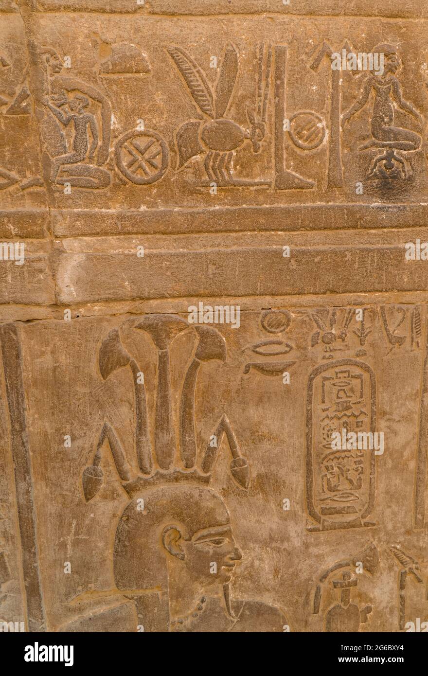 Magnifiques hiéroglyphes égyptiens et gravures sur les murs du temple de Kom Ombo, en Égypte Banque D'Images