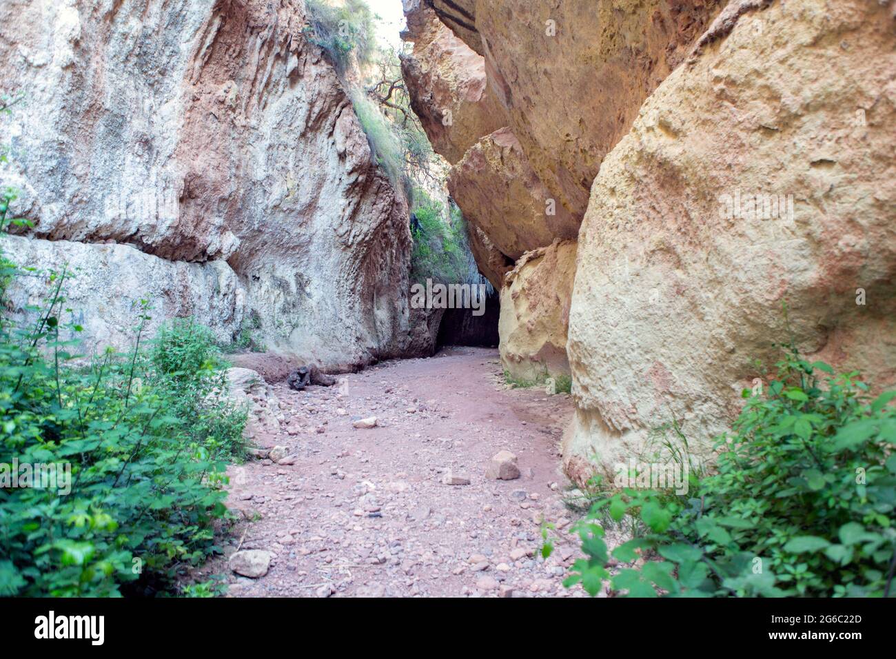 Commençant entre les rochers gigantesques de la gorge spectaculaire et naturelle appelée le détroit d'Arbojeja à Murcie. Banque D'Images