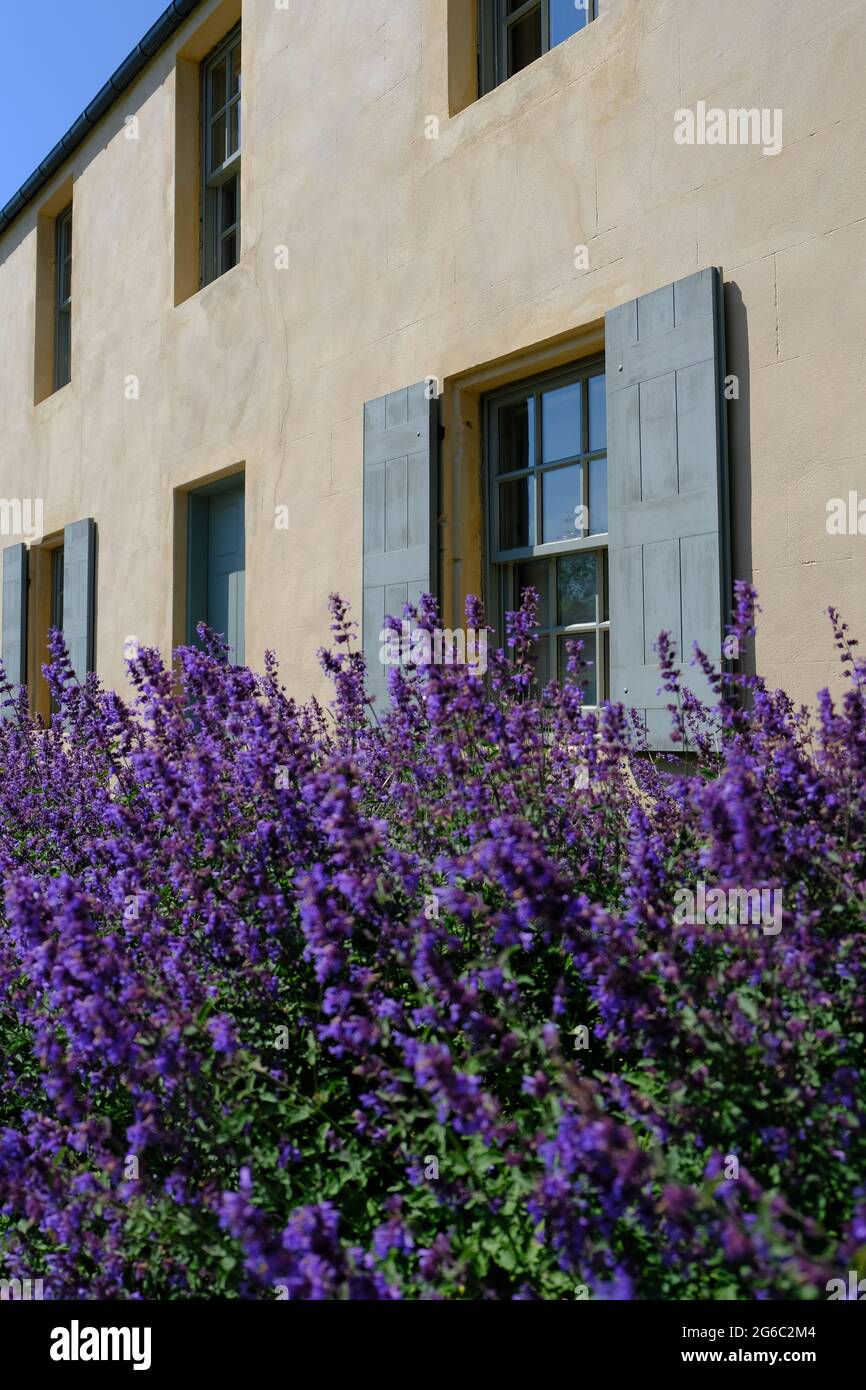 Cottage idyllique avec volets en bois bleu et fleurs violettes dans le premier sol Banque D'Images