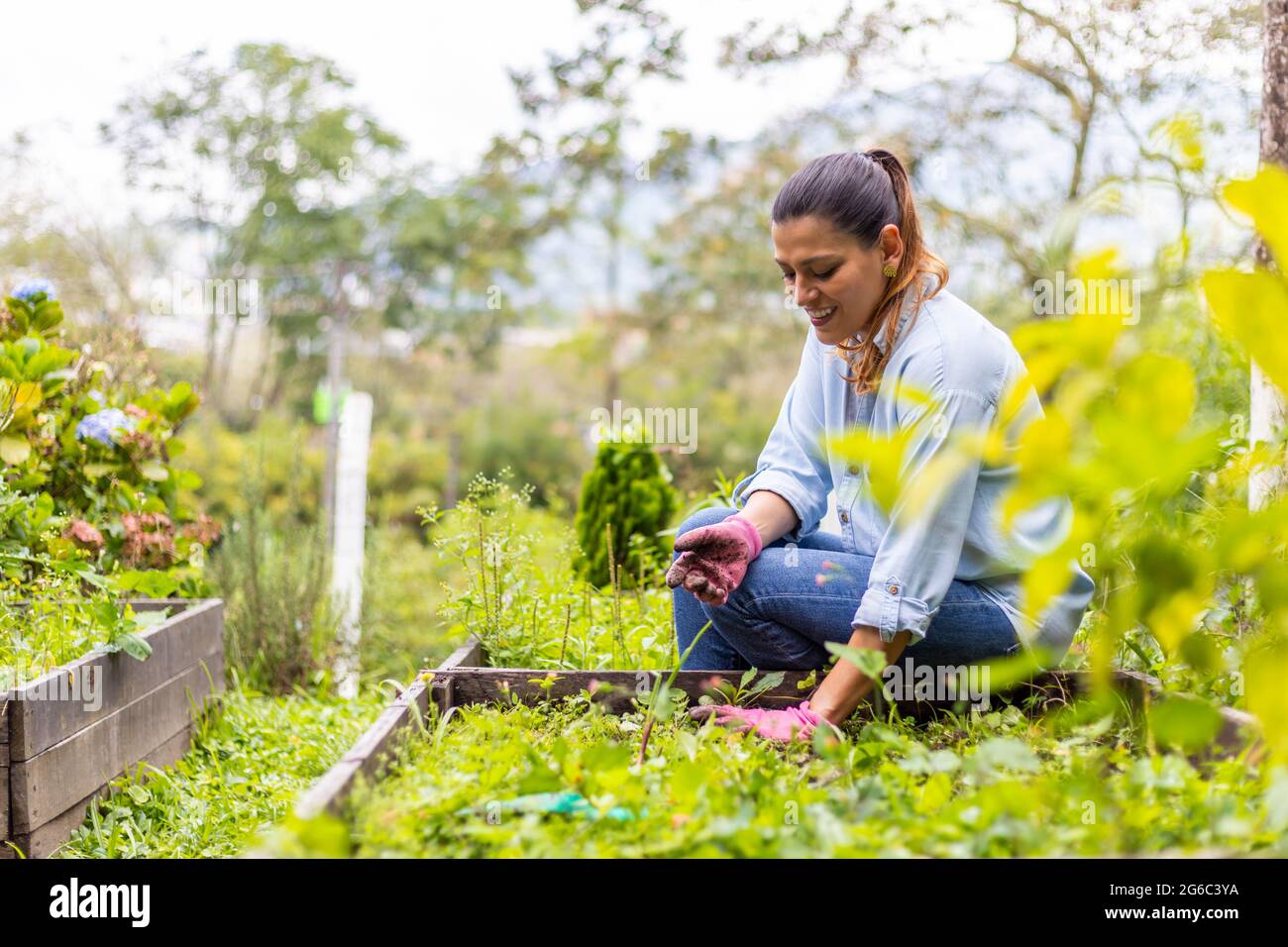 femme assise dans son jardin potager en désherbage et en nettoyant Photo  Stock - Alamy