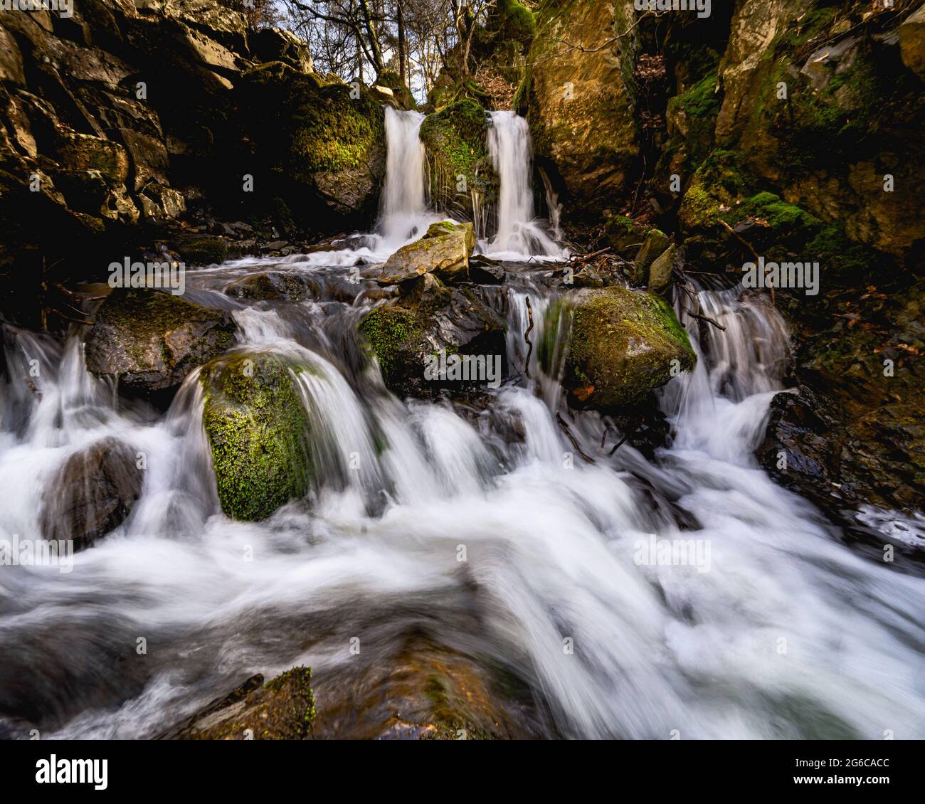 Chutes d'eau Tom Ghyll à Tarn Hows dans le parc national du Lake District.Cette cascade s'écoule du Tarn Hows et traverse la forêt. Banque D'Images