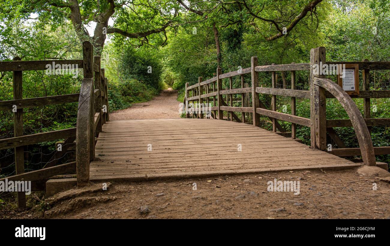 Le pont de Sticks de Pooh était des bâtons de Pooh d'origine situés dans le bois de cent Acre dans la forêt d'Ashdown près de Hartfield. Banque D'Images