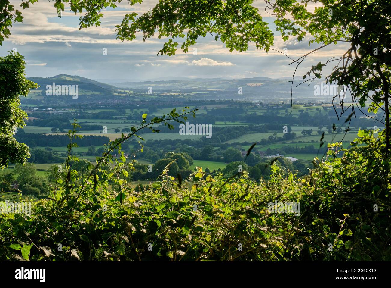 La forêt de Ludlow et Mortimer et les frontières galloises, vus de près de Knowbury, Ludlow, Shropshire Banque D'Images