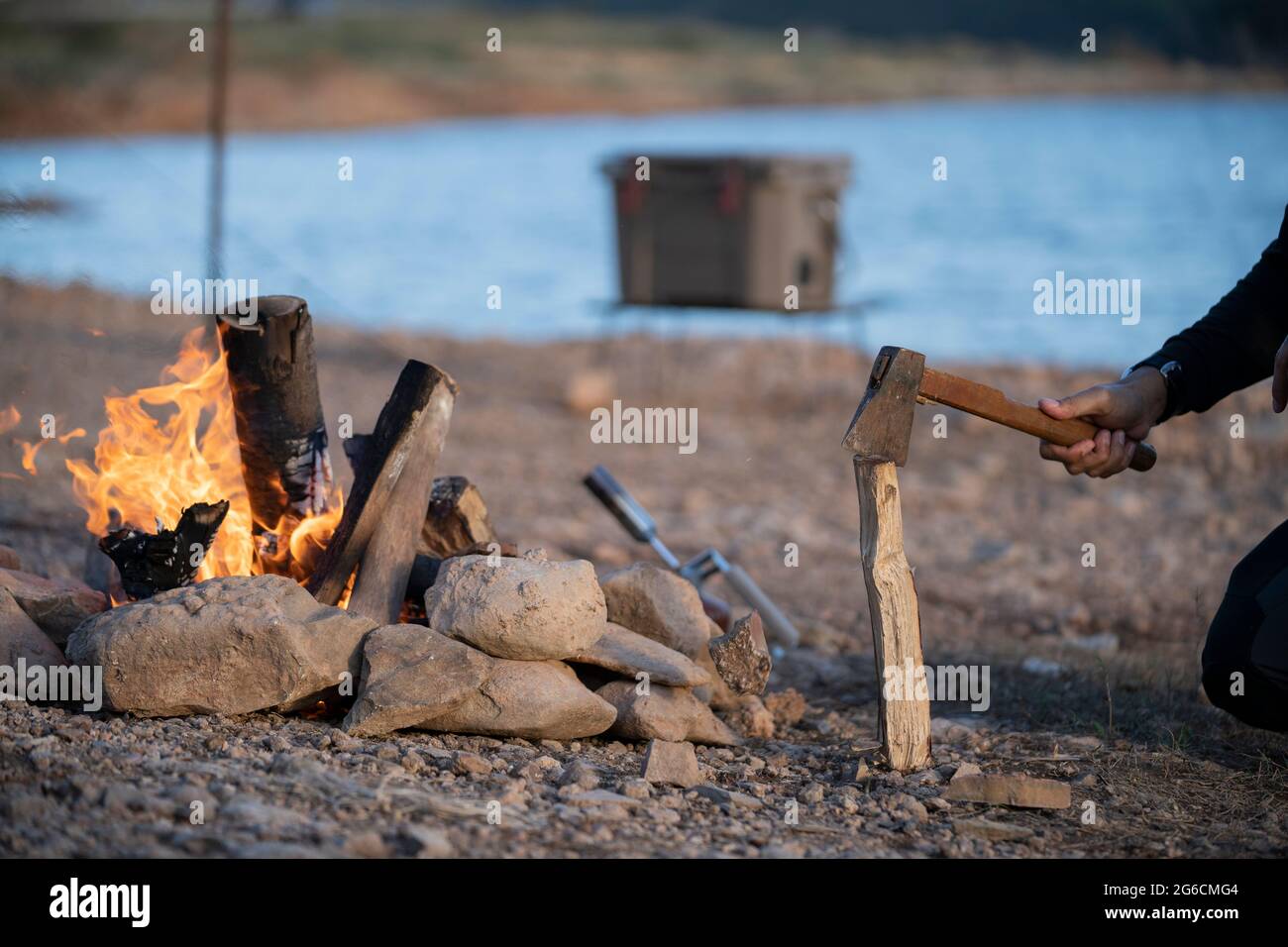 Homme adulte coupant des branches avec Ax pour feu de camp. Banque D'Images