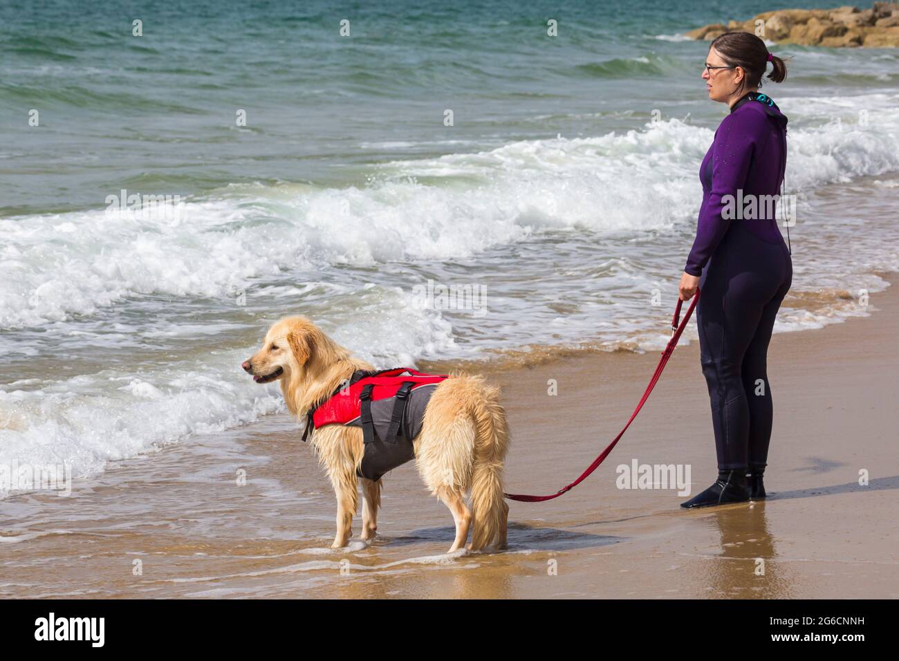 Formation de chien de surf à la plage Branksome Dene Chine, Poole, Royaume-Uni, en juillet Banque D'Images