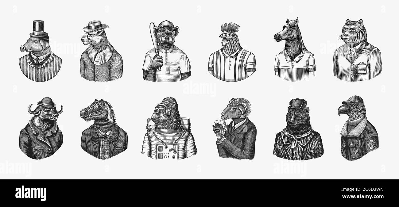 Astronaute de singe Gorilla. Pilote d'aviateur d'aigle coq Dinosaur Pig Tiger Bear Sheep Buffalo Bull Horse Cheetah. Chien joueur de tennis de baseball Illustration de Vecteur