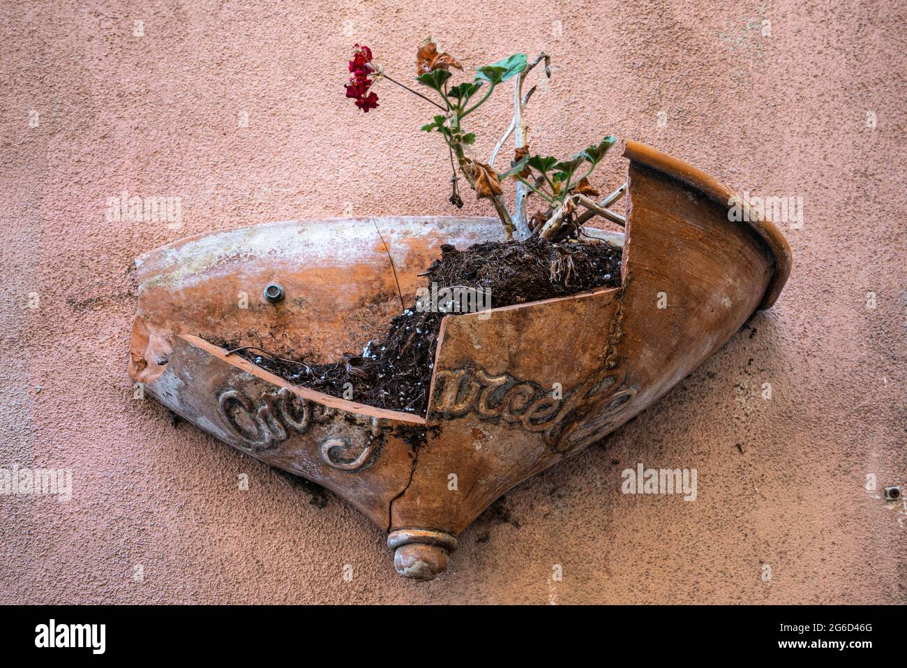 Jardinière en faïence, cassée, accrochée au mur avec la terre toujours à l'intérieur et une fleur de géranium en fleurs. Molise, Italie, Europe Banque D'Images