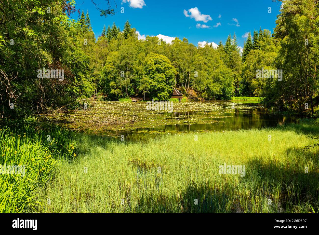 Loch Dunmore près de la ville de Pitlochry, Écosse, Royaume-Uni Banque D'Images