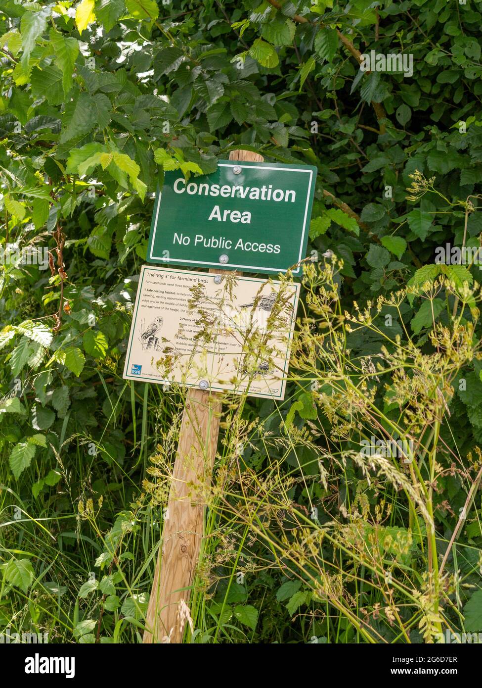 Un panneau vert rectangulaire « zone de conservation » sur un poteau en bois dans une haie par une zone de champ Banque D'Images Un panneau vert rectangulaire « zone de conservation » sur un poteau en bois dans une haie par une zone de champ Banque D'Images