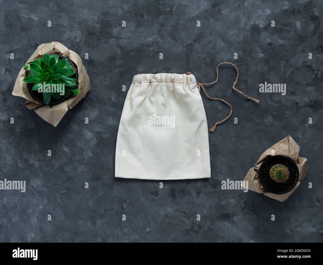 Sac réutilisable en coton Eco maquette plastique achat gratuit. Toile tissu naturel produit à la main modèle d'emballage.zéro déchet concept peu de déchets style de vie.Vega ec Banque D'Images