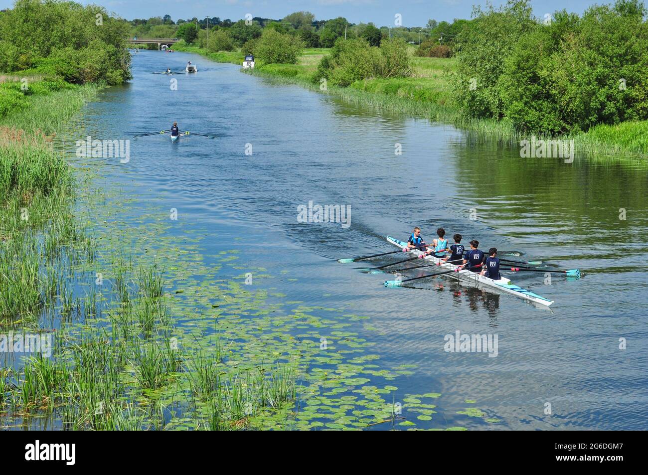 Aviron sur la rivière Great Ouse juste au sud d'Ely, Cambridgeshire, Angleterre, Royaume-Uni Banque D'Images