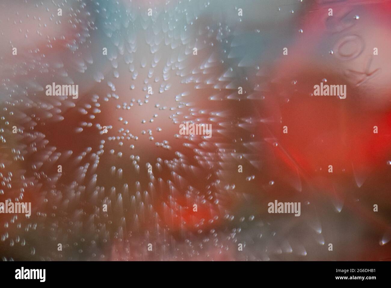 Bulles de couleur rouge et blanche formées par l'huile dans l'eau. Banque D'Images