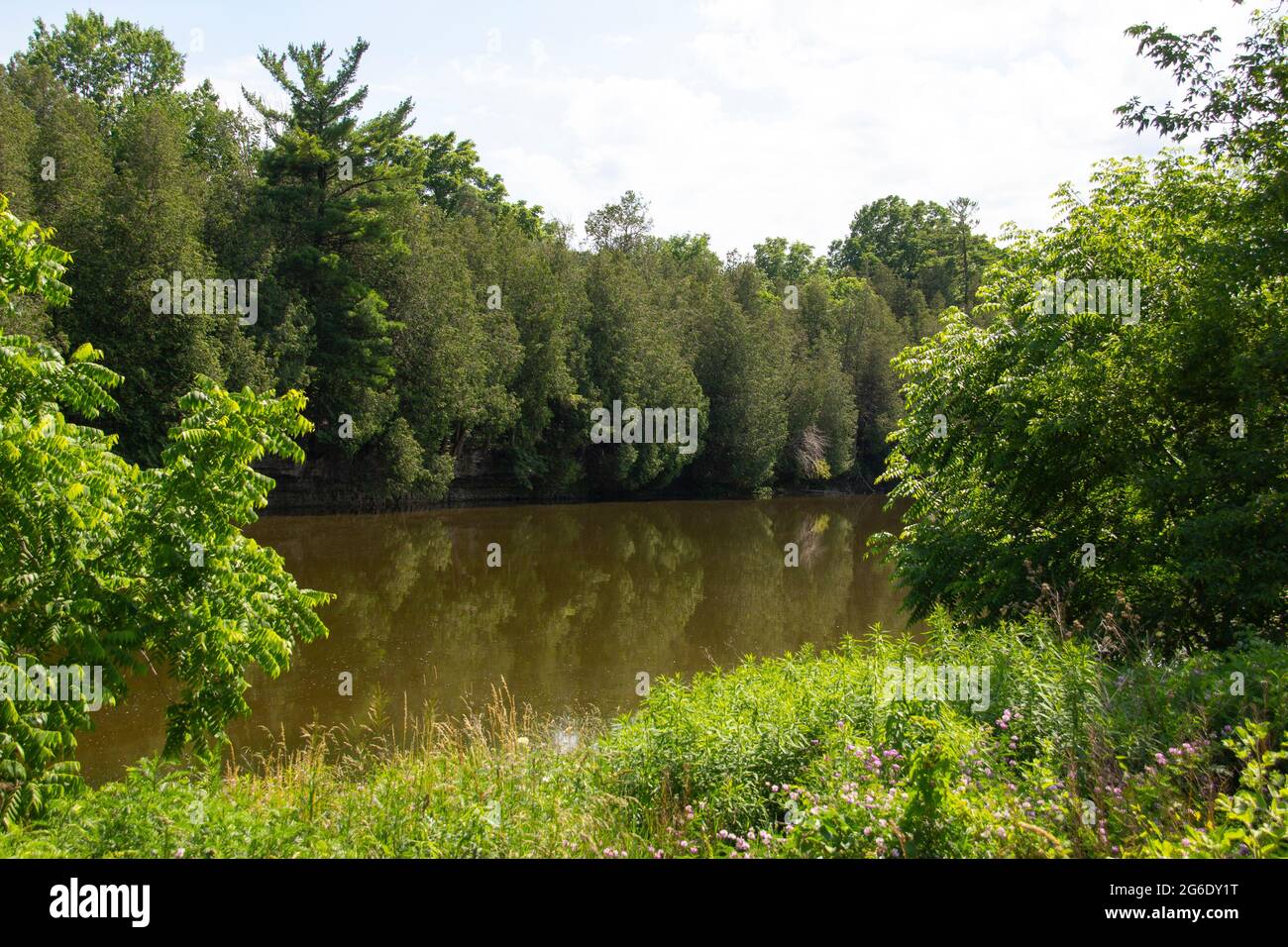 Réflexions d'arbres sur une rivière STILL Banque D'Images