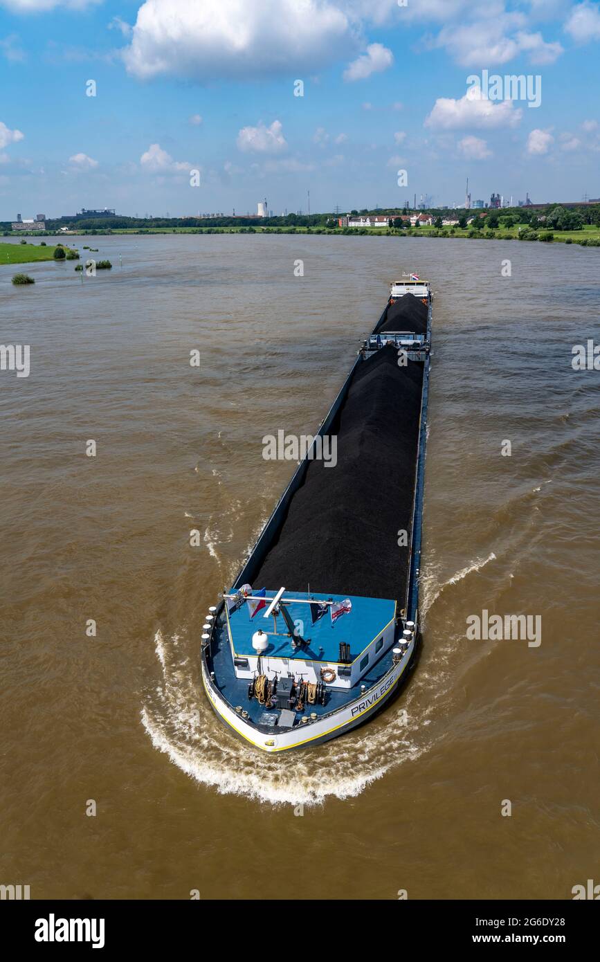 Navigation intérieure, navire de cargaison néerlandais Privilege apporte du charbon importé, charbon de centrale, de Rotterdam au sud de l'Allemagne, ici sur le Rhin à la p Banque D'Images