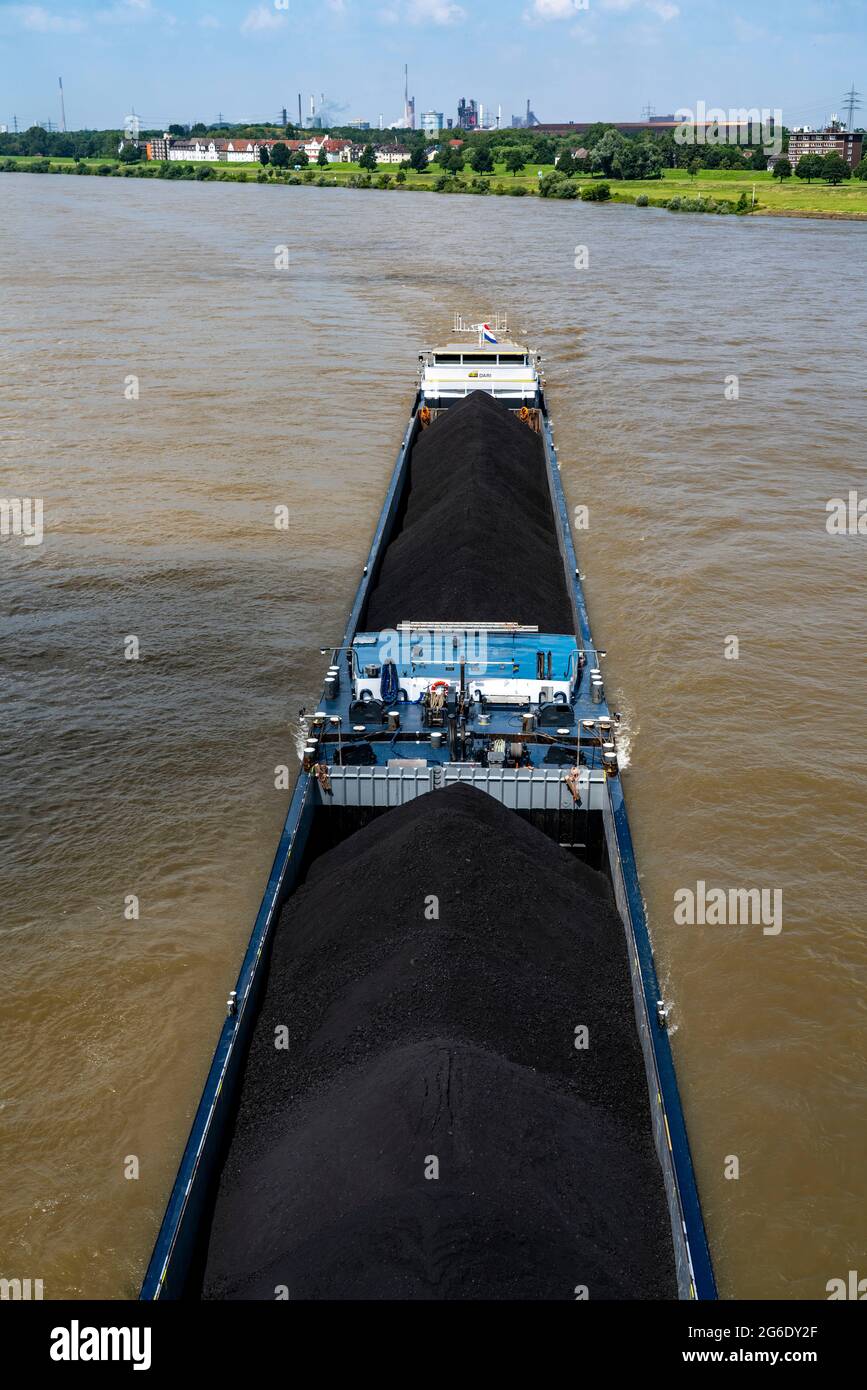 Navigation intérieure, navire de cargaison néerlandais Privilege apporte du charbon importé, charbon de centrale, de Rotterdam au sud de l'Allemagne, ici sur le Rhin à la p Banque D'Images