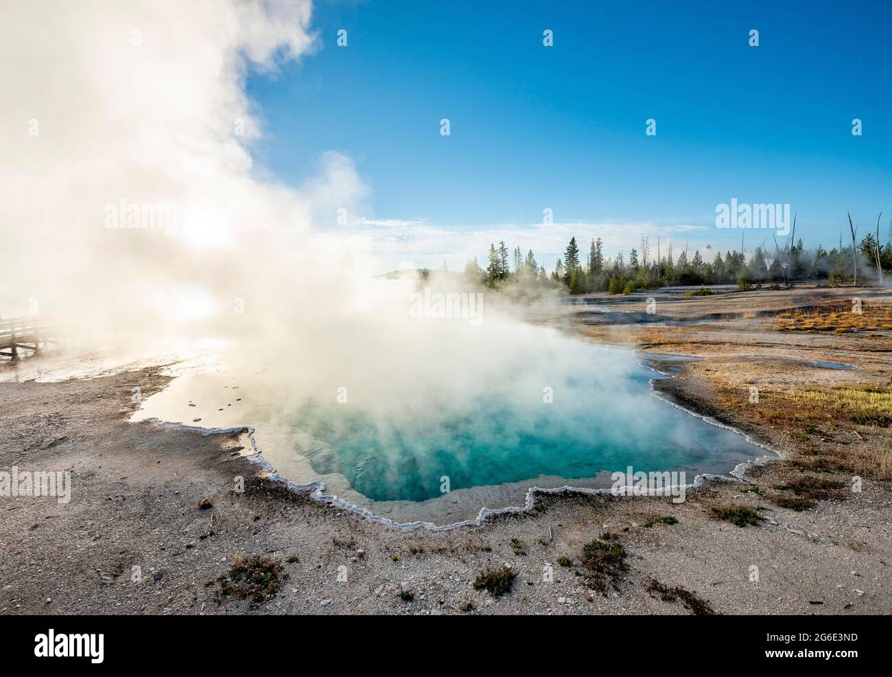 Source chaude à la vapeur avec eau turquoise au soleil du matin, piscine noire, bassin West Thumb Geyser, parc national de Yellowstone, Wyoming, États-Unis Banque D'Images