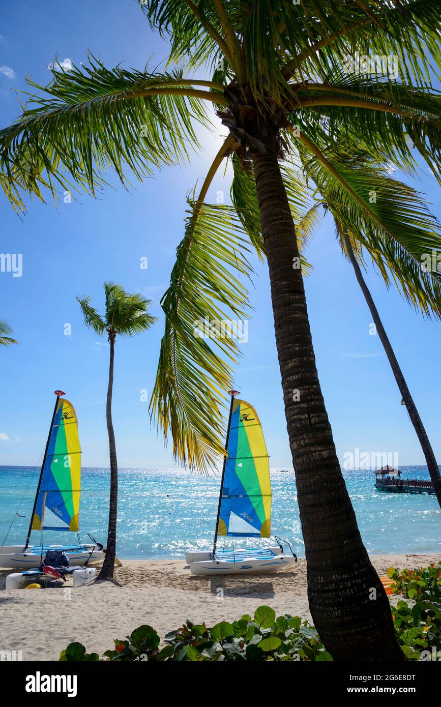 Catamaran, Dominicus Beach, Bayahibe, Caraïbes, Amérique, République dominicaine Banque D'Images