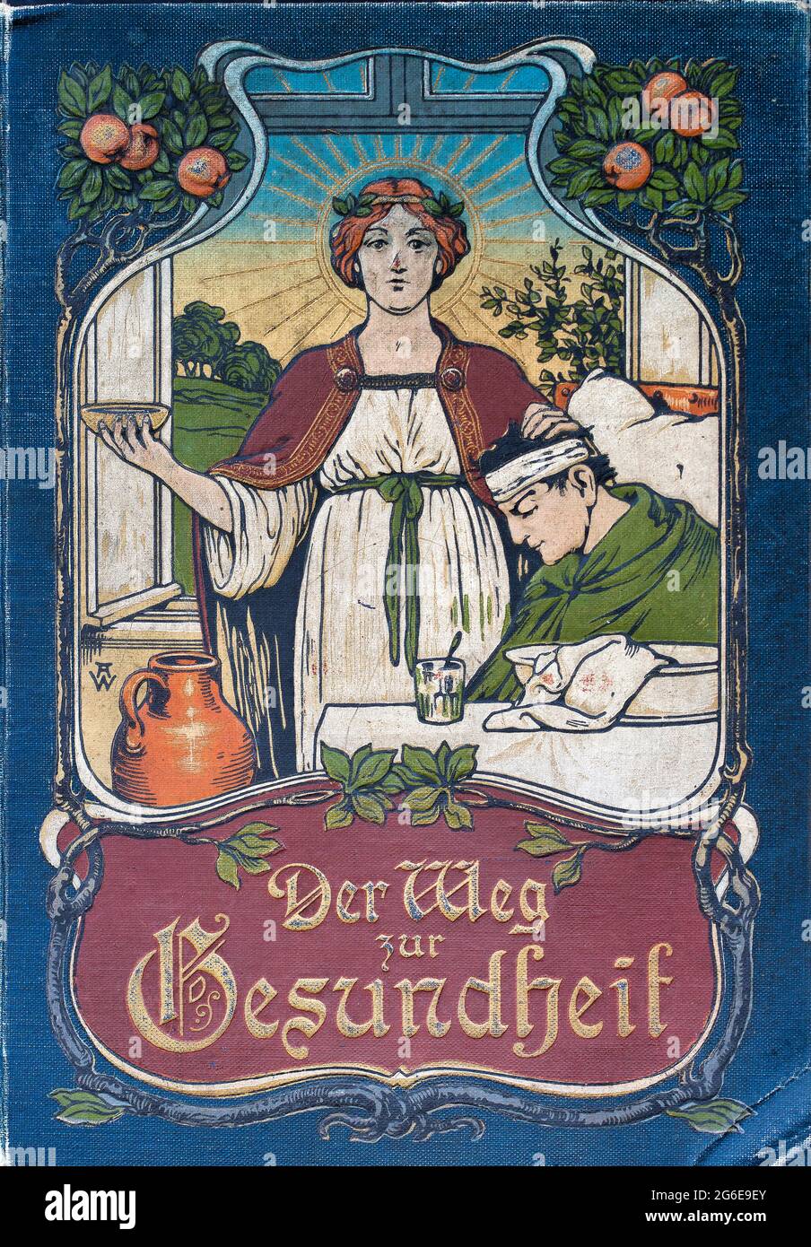 Couverture de livre, le médecin de famille pratique, UNE manière de la santé, 1901, Breslau Banque D'Images