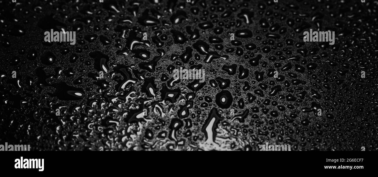 Gouttelettes d'eau sur fond noir. Photo en gros plan de petites gouttes d'eau sur fond noir pour papier peint. Copier l'espace. Banque D'Images