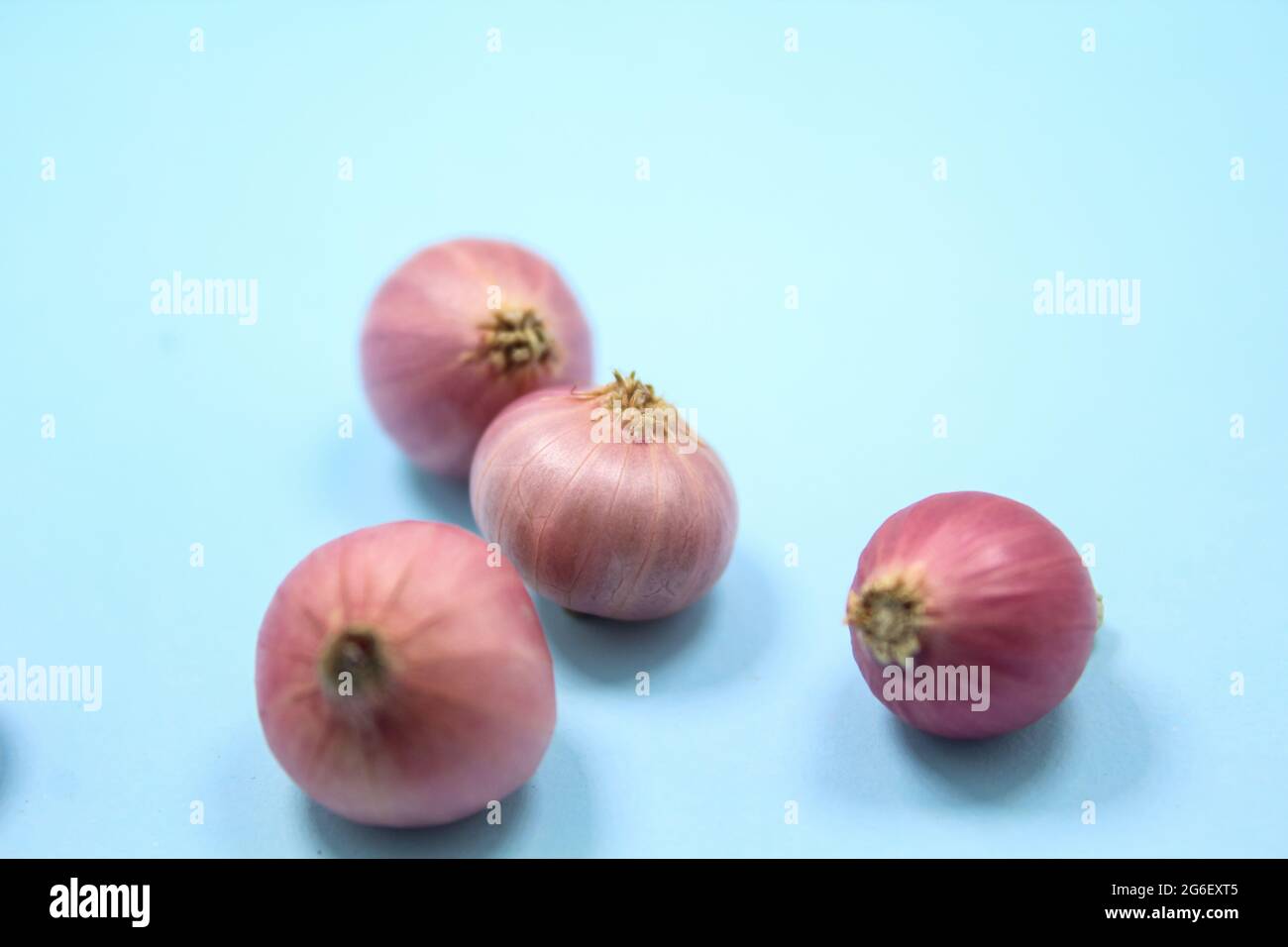 Oignons asiatiques frais sur une surface isolée, nouvelle image de stock d'oignons selon vos besoins Banque D'Images