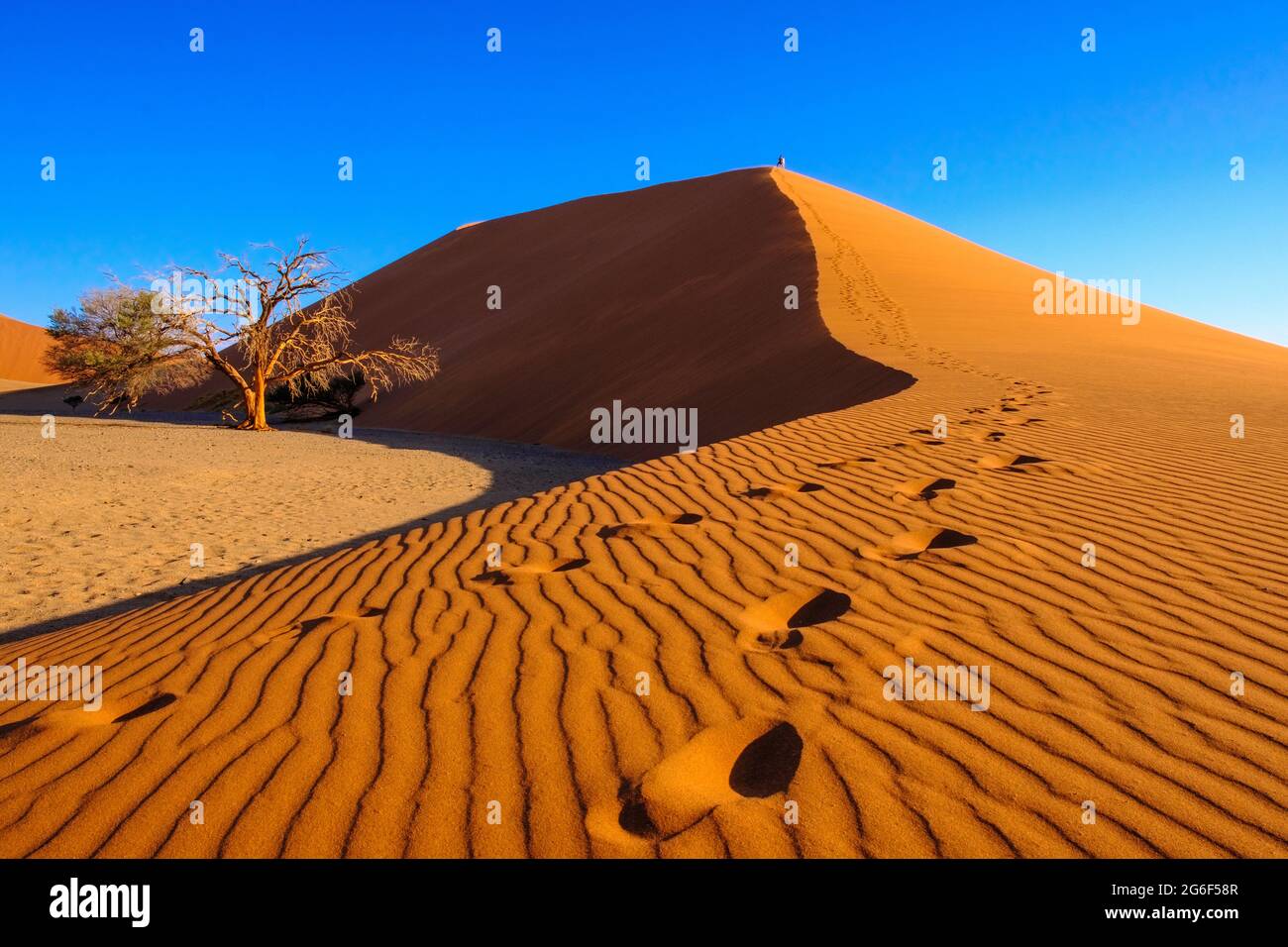 Voyageurs, les empreintes humaines mènent au sommet dans le sable orange de la plus grande dune 45 de Namibie, coucher de soleil sur le désert africain. Sossusvlei, Namibie, Afrique Banque D'Images