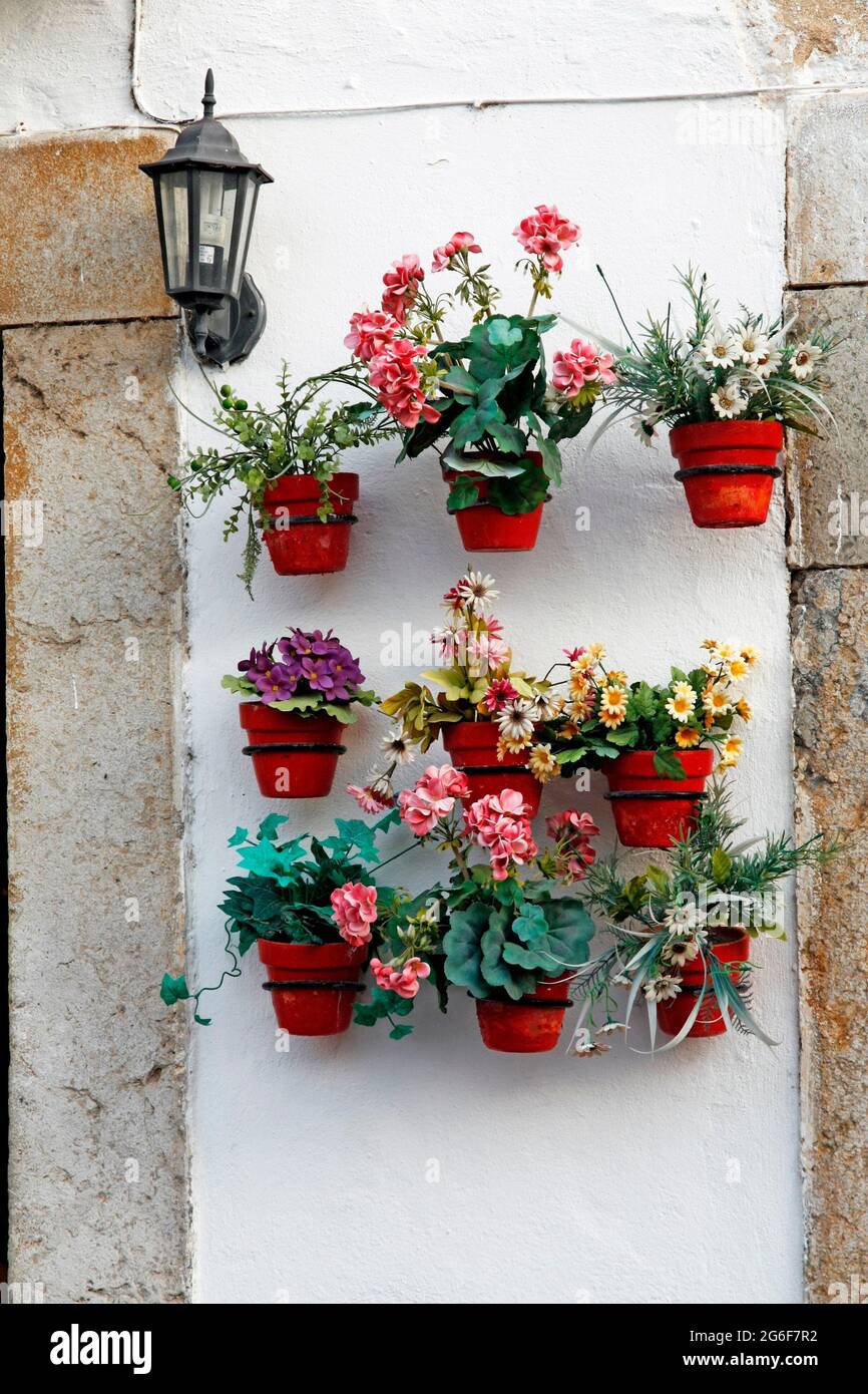Plusieurs pots de fleurs alignés sur un mur. Banque D'Images