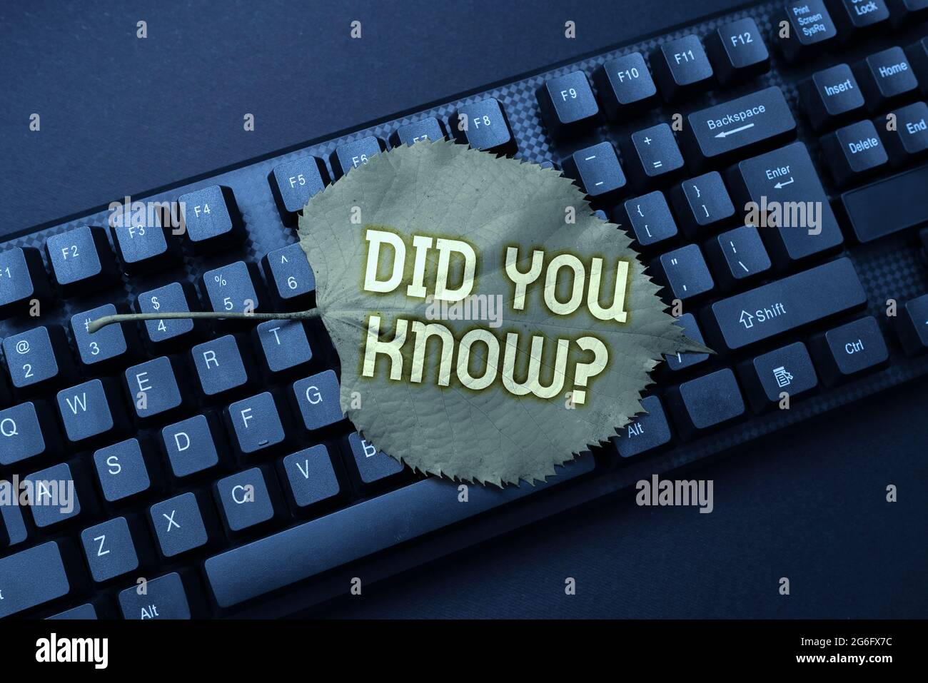 Légende du texte présentant la question le saviez-vous ? Concept signification lorsque vous demandez à quelqu'un s'il connaît un fait ou un événement Programmeur création d'un nouveau logiciel Banque D'Images