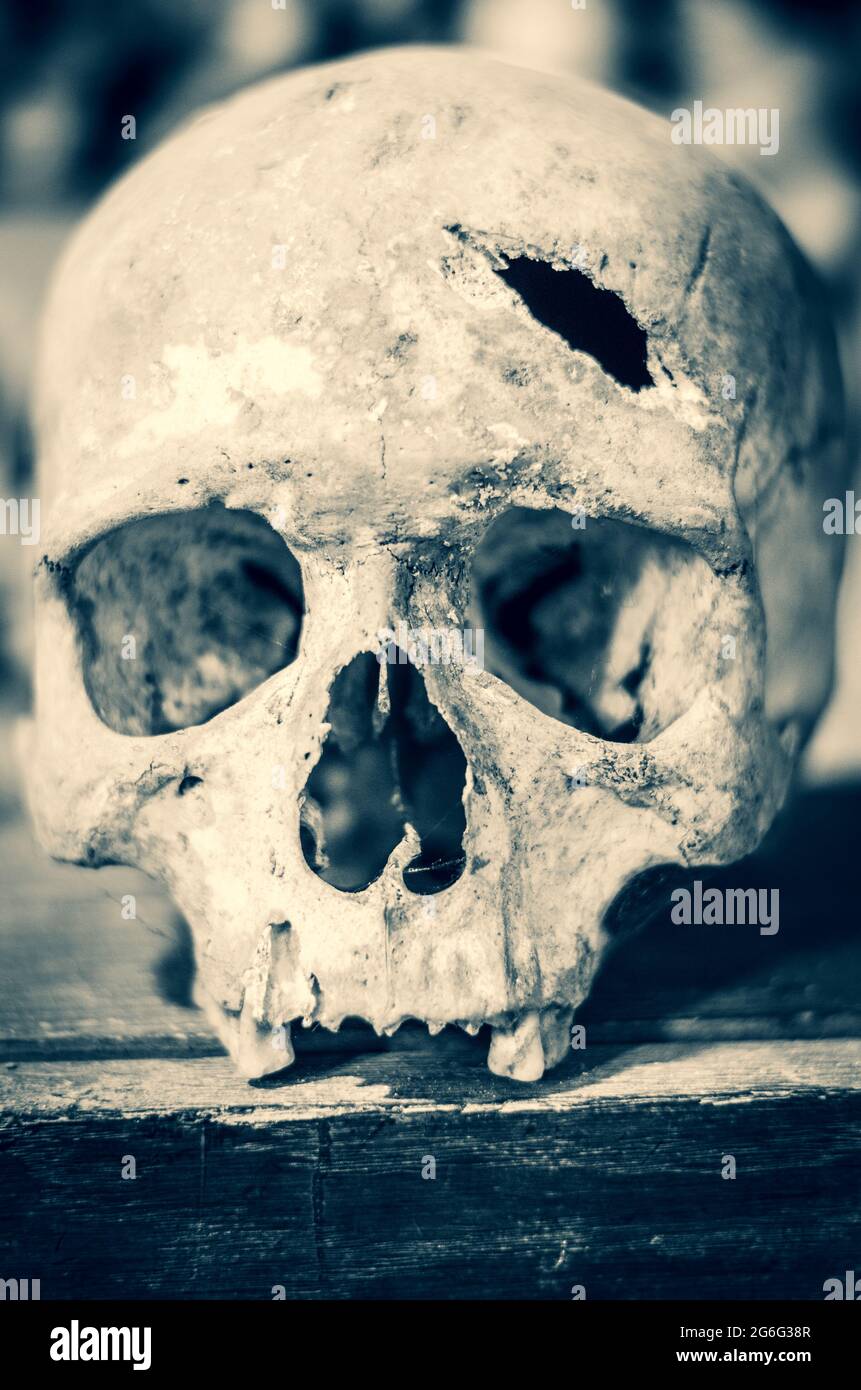 Crâne humain cassé dans l'Ossuary Sedlec (banlieue de Kutna Hora), république tchèque Banque D'Images