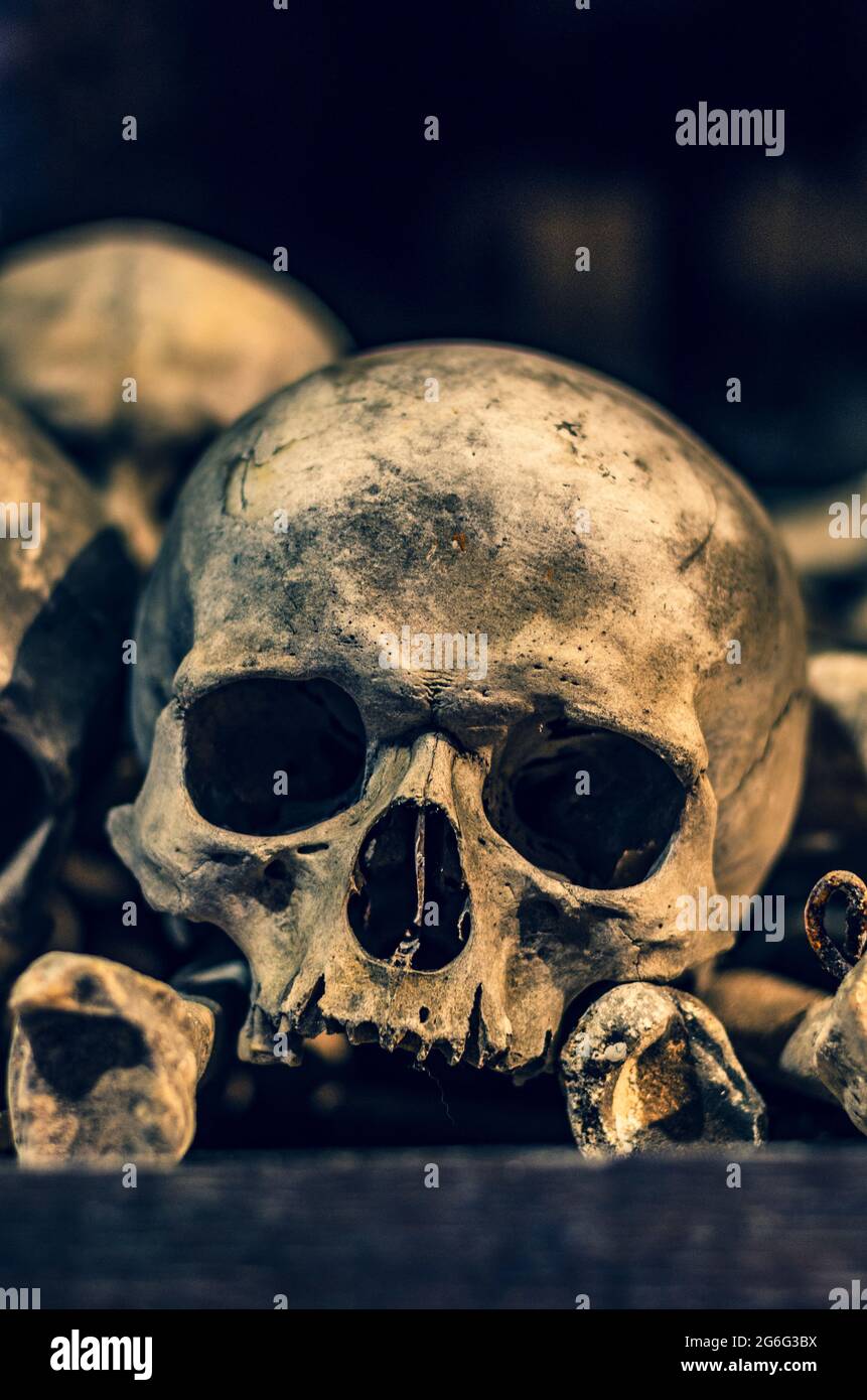 Gros plan de crânes et d'os humains très anciens, photo avec mise au point sélective Banque D'Images