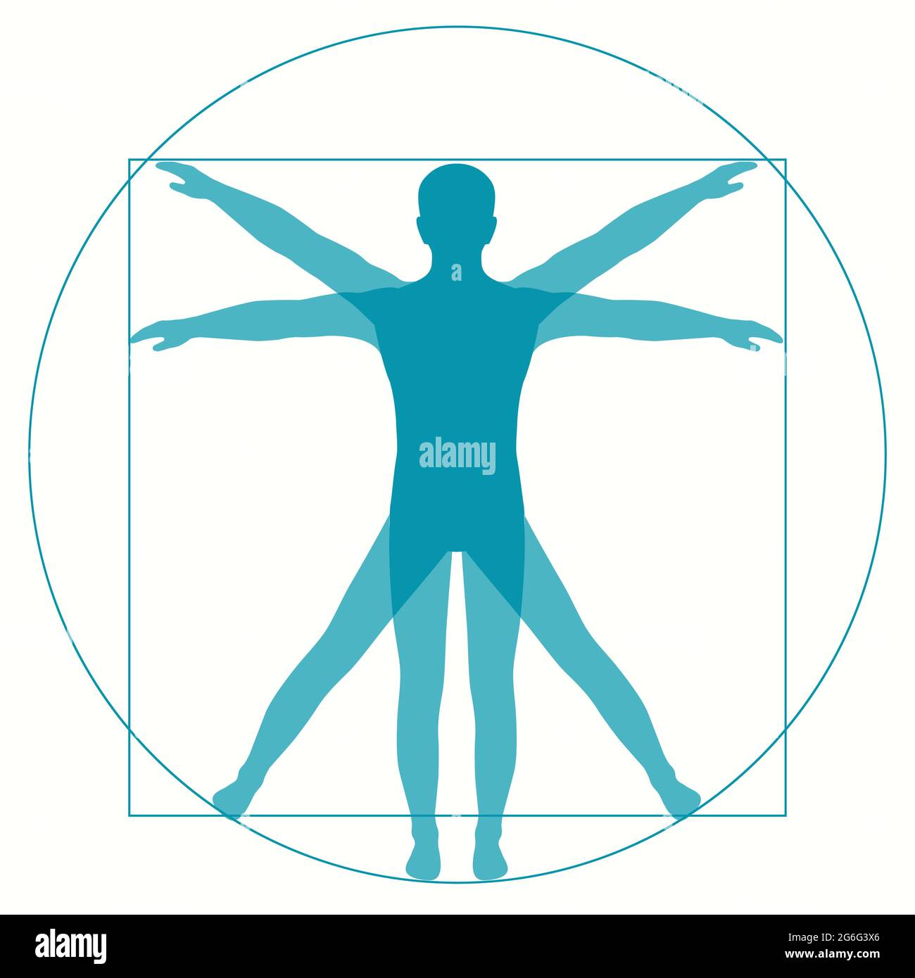 Leonardo Da Vinci Vetruvian Homme, anatomie humaine Illustration de Vecteur