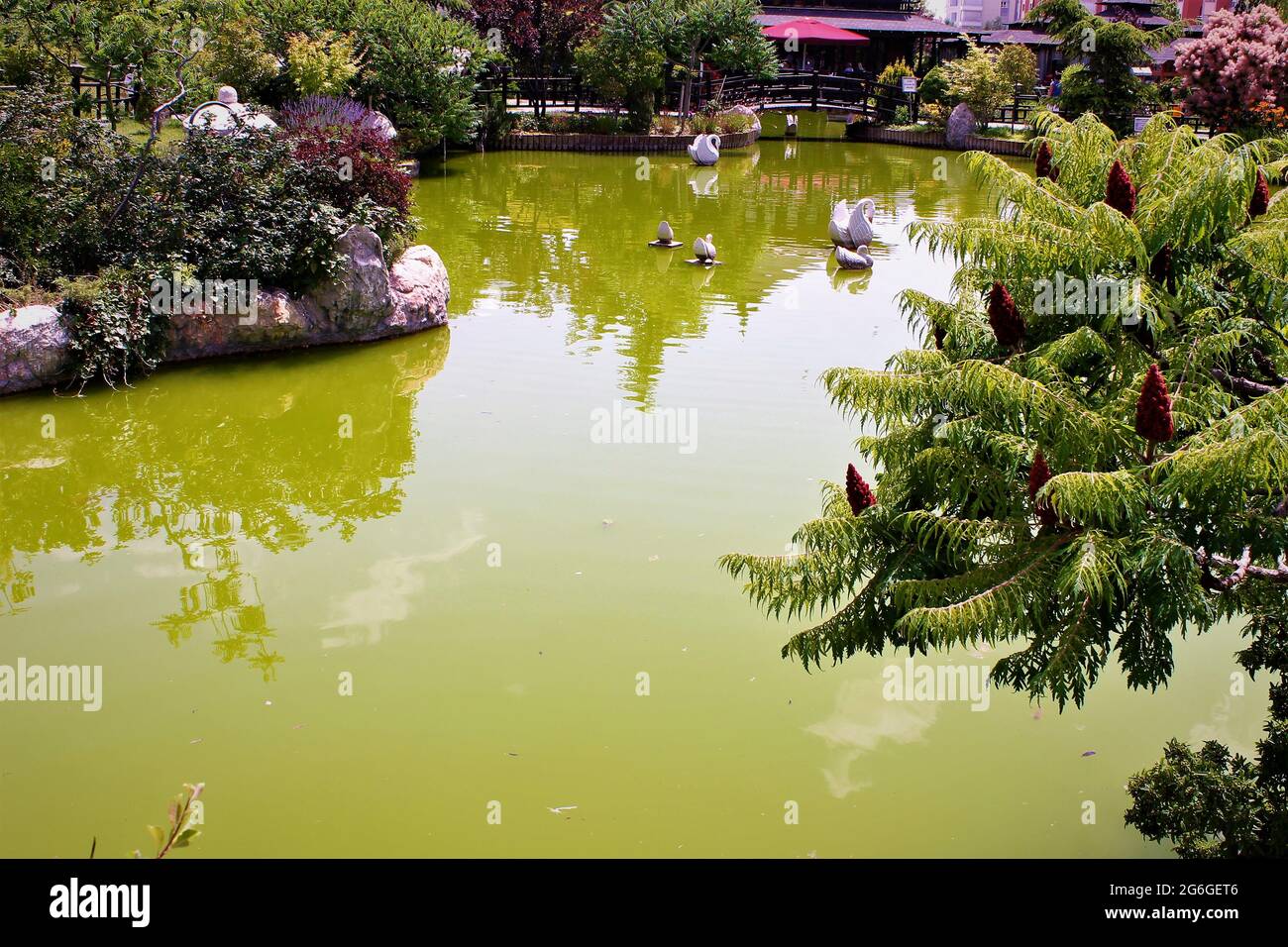 Jardin japonais et réflexions dans la piscine Banque D'Images