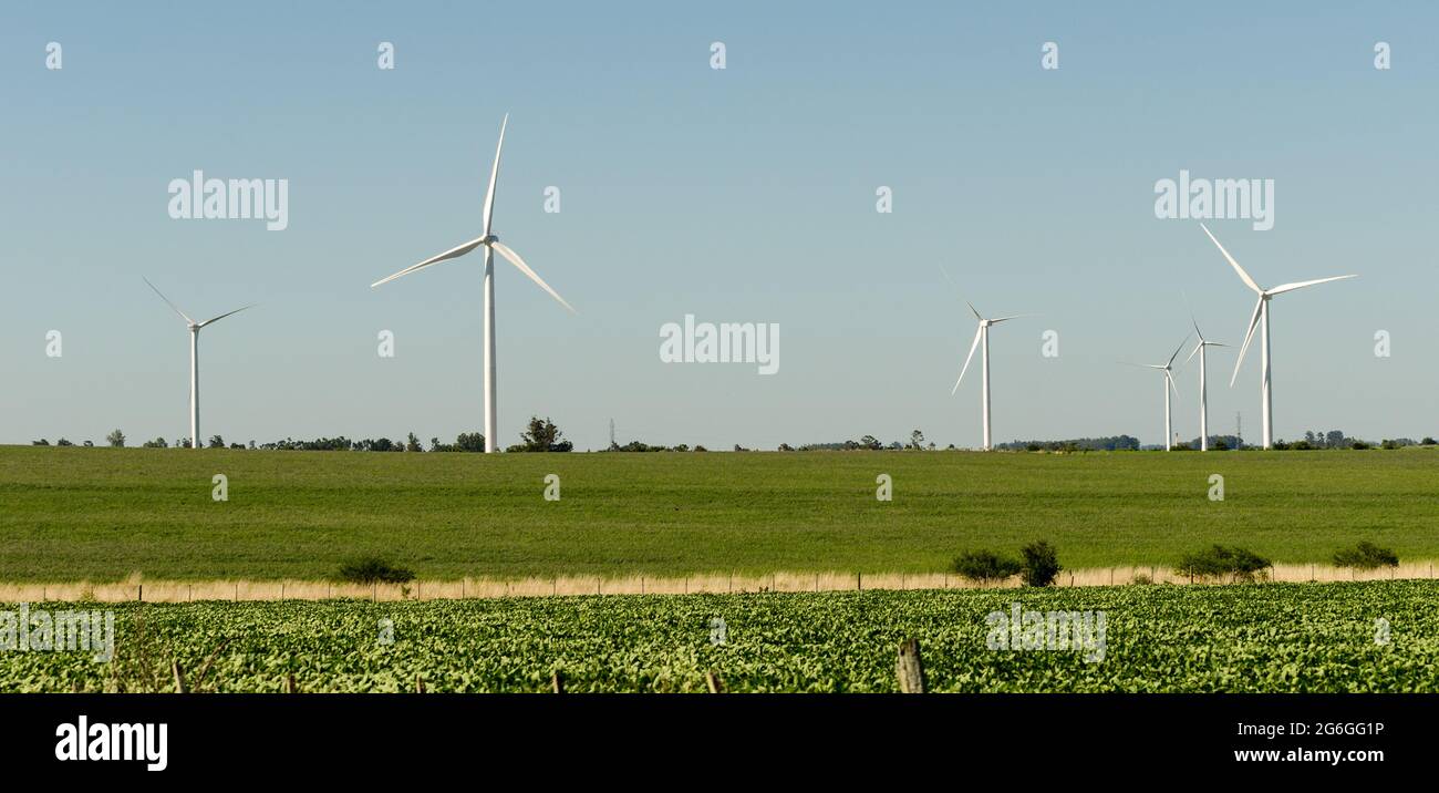 Paysage de l'éolienne économe en énergie à la campagne près de Tarariras, Colonia Banque D'Images