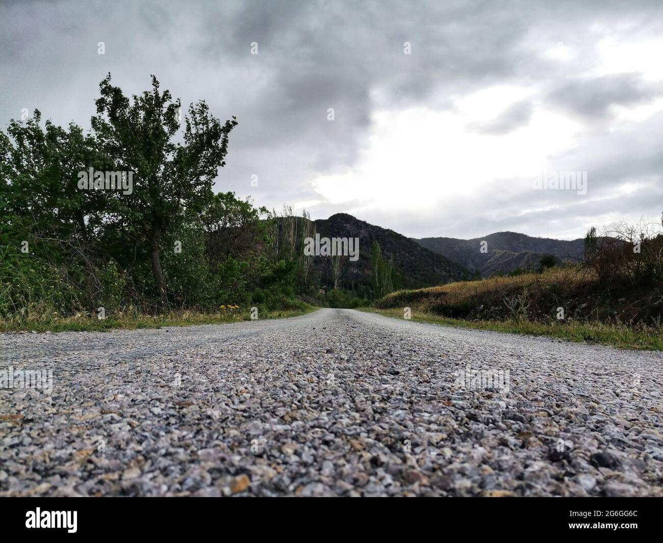 Chemin. Route de campagne. Promenade. Vue. Arrière-plan Banque D'Images