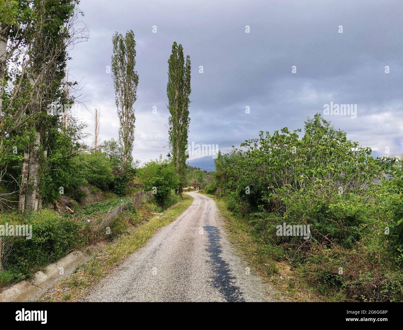 Chemin. Route de campagne. Promenade. Vue. Arrière-plan Banque D'Images