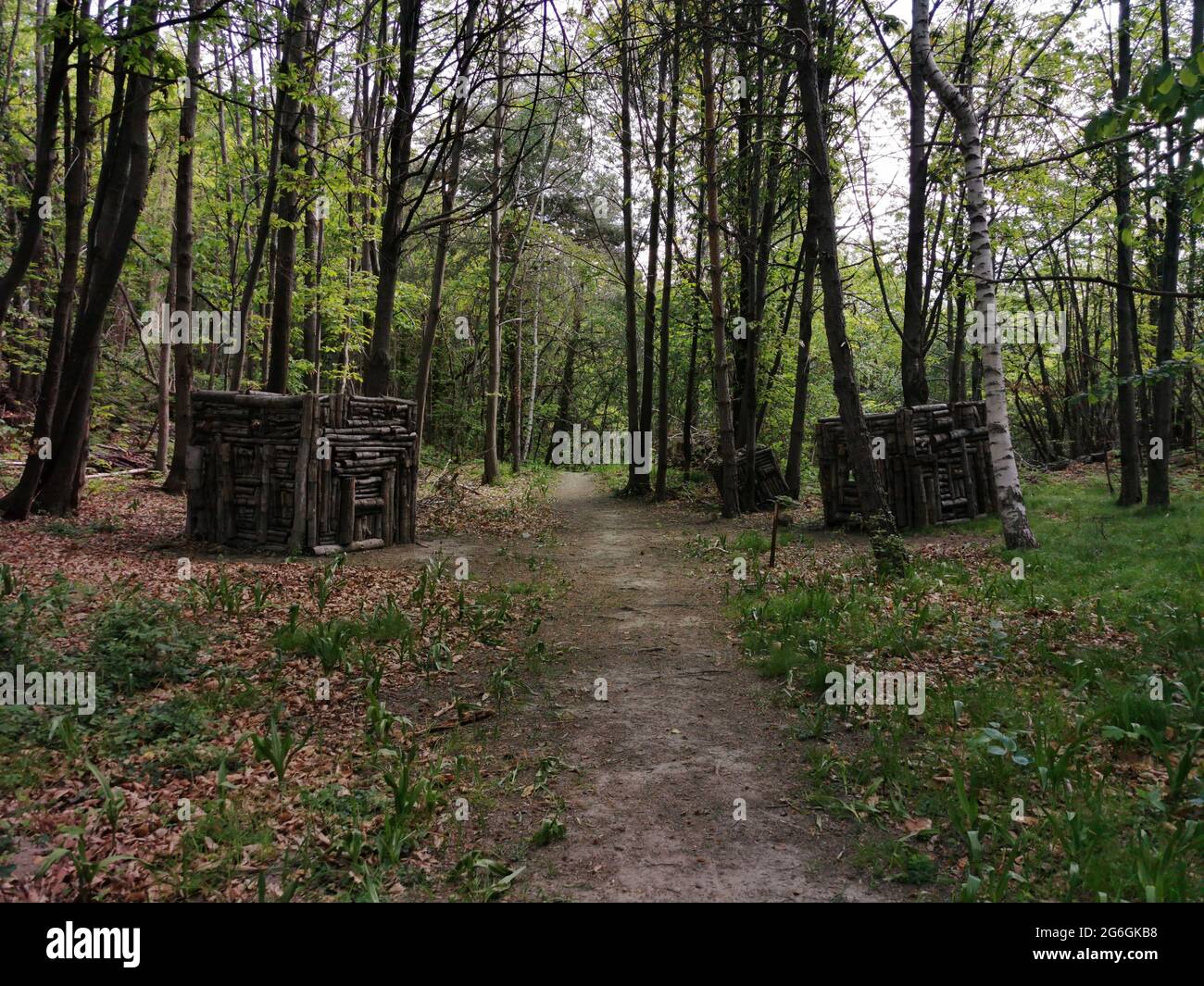 Installation artistique en bois dans la forêt de Val d'Ayas sur la route de randonnée Monte Rosa Randò Banque D'Images