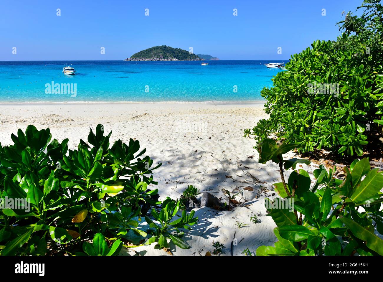 Belle plage Koh Miang île No.4 dans le parc national de Mu Ko Similan, Phang Nga, Thaïlande Banque D'Images