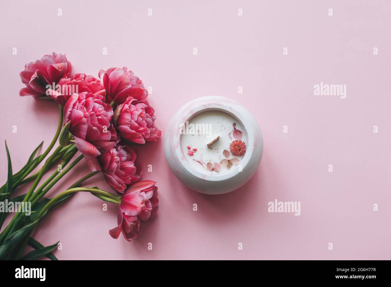 Bougie artisanale écologique et végétalienne avec fleurs sèches dans un verre en béton sur fond rose avec tulipes roses. Bougie de soja ou de noix de coco avec une mèche en bois. Banque D'Images